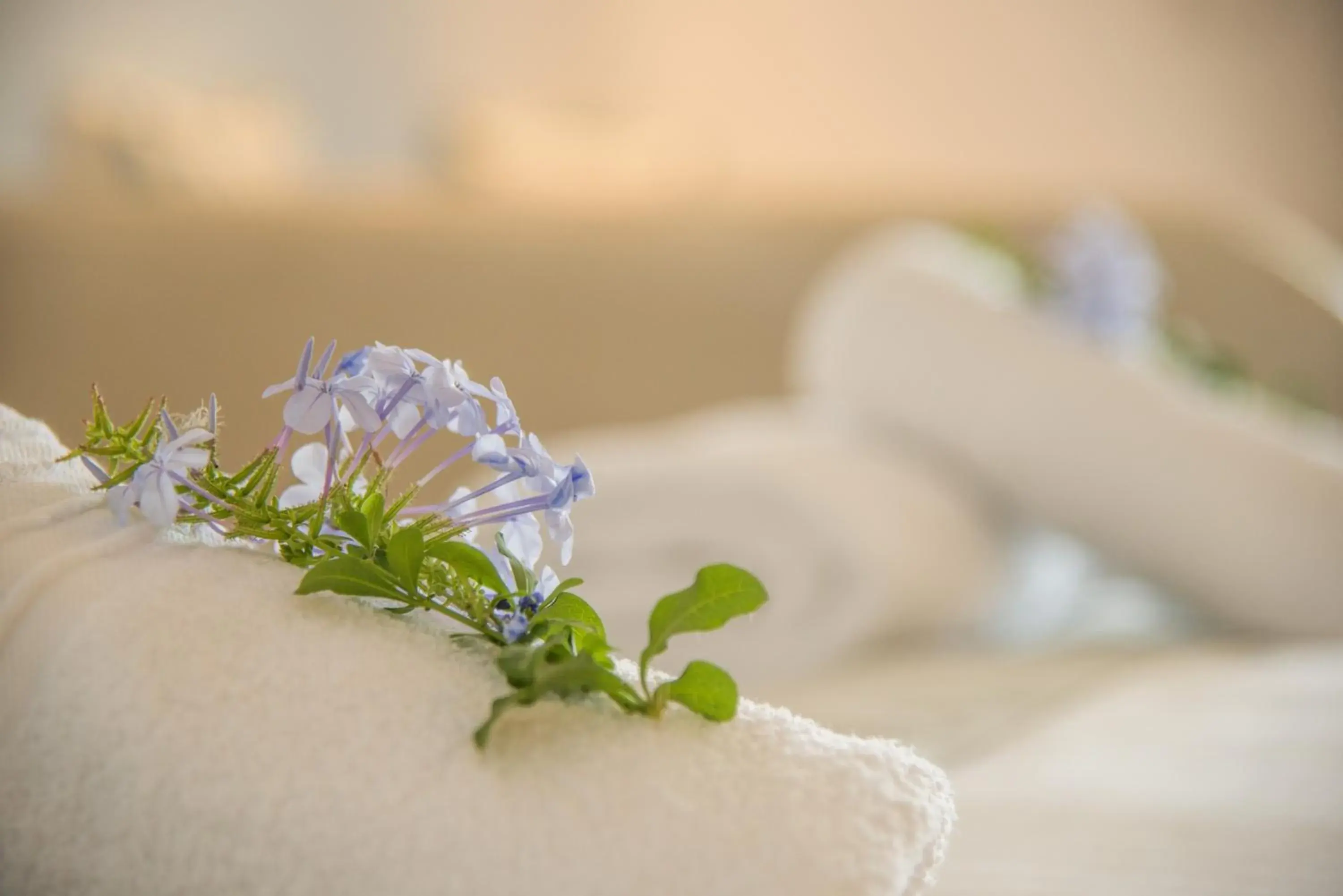 One-Bedroom Suite in Cycladic Islands Hotel & Spa One-Bedroom Suite in Cycladic Islands Hotel & Spa