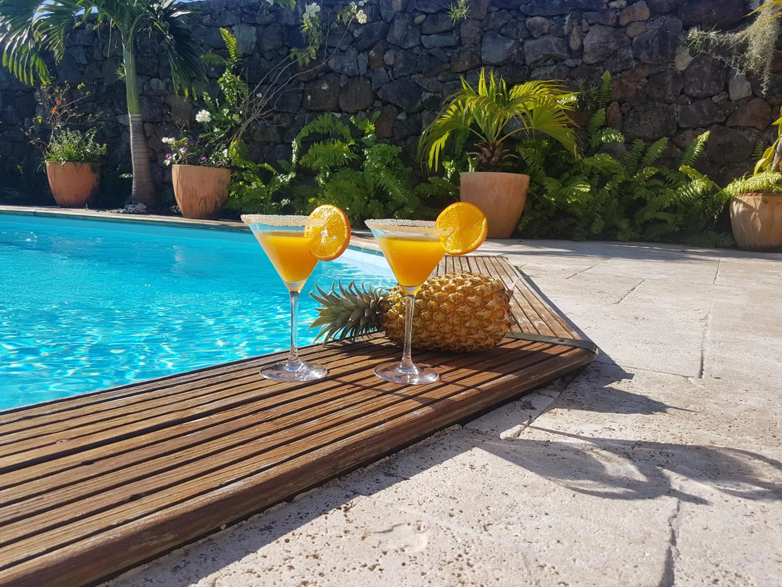 Swimming Pool in La Villa du Bassin