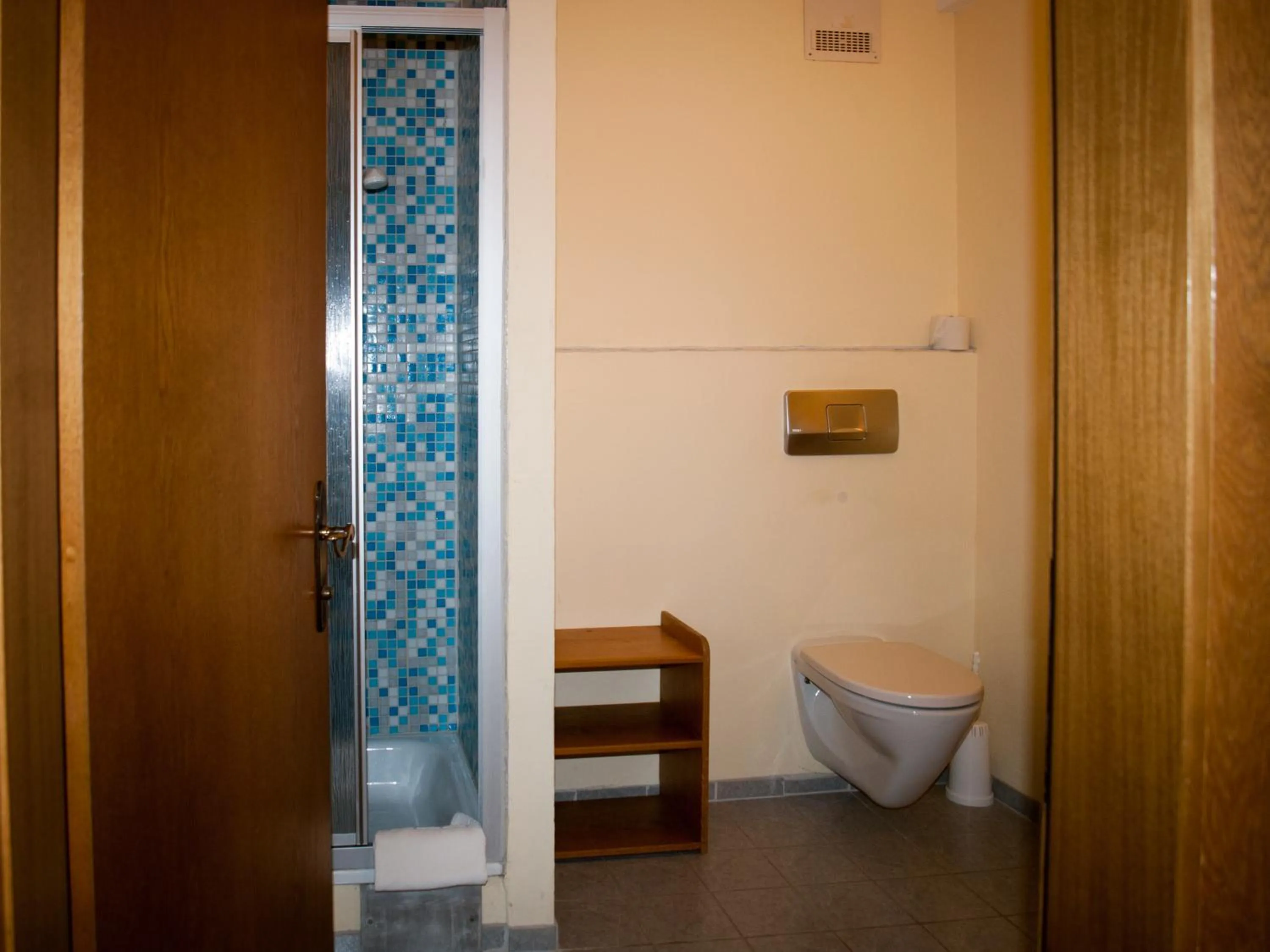 Shower in Pension Handle