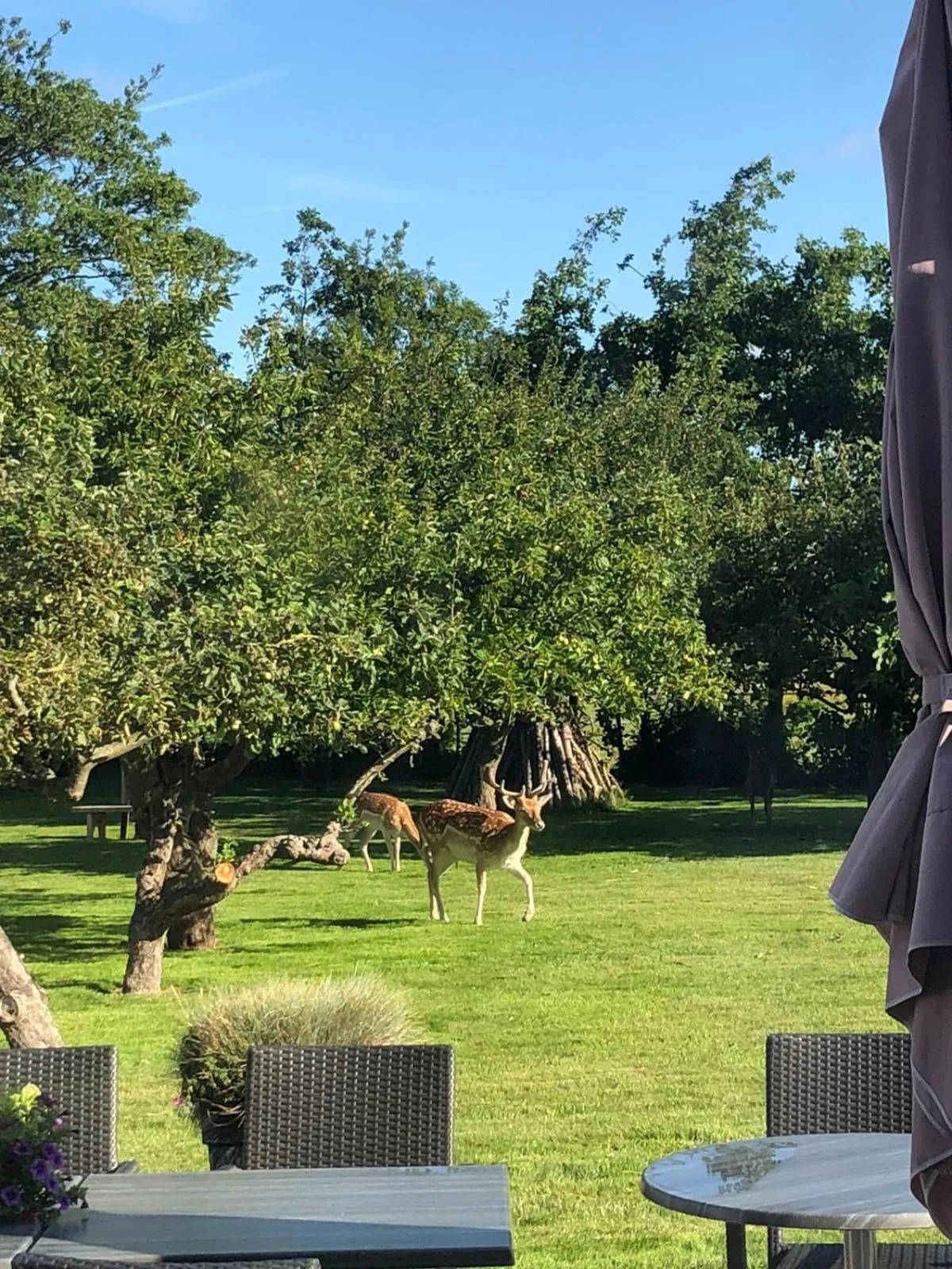 Garden in Hoevehotel 'Hof Christina'