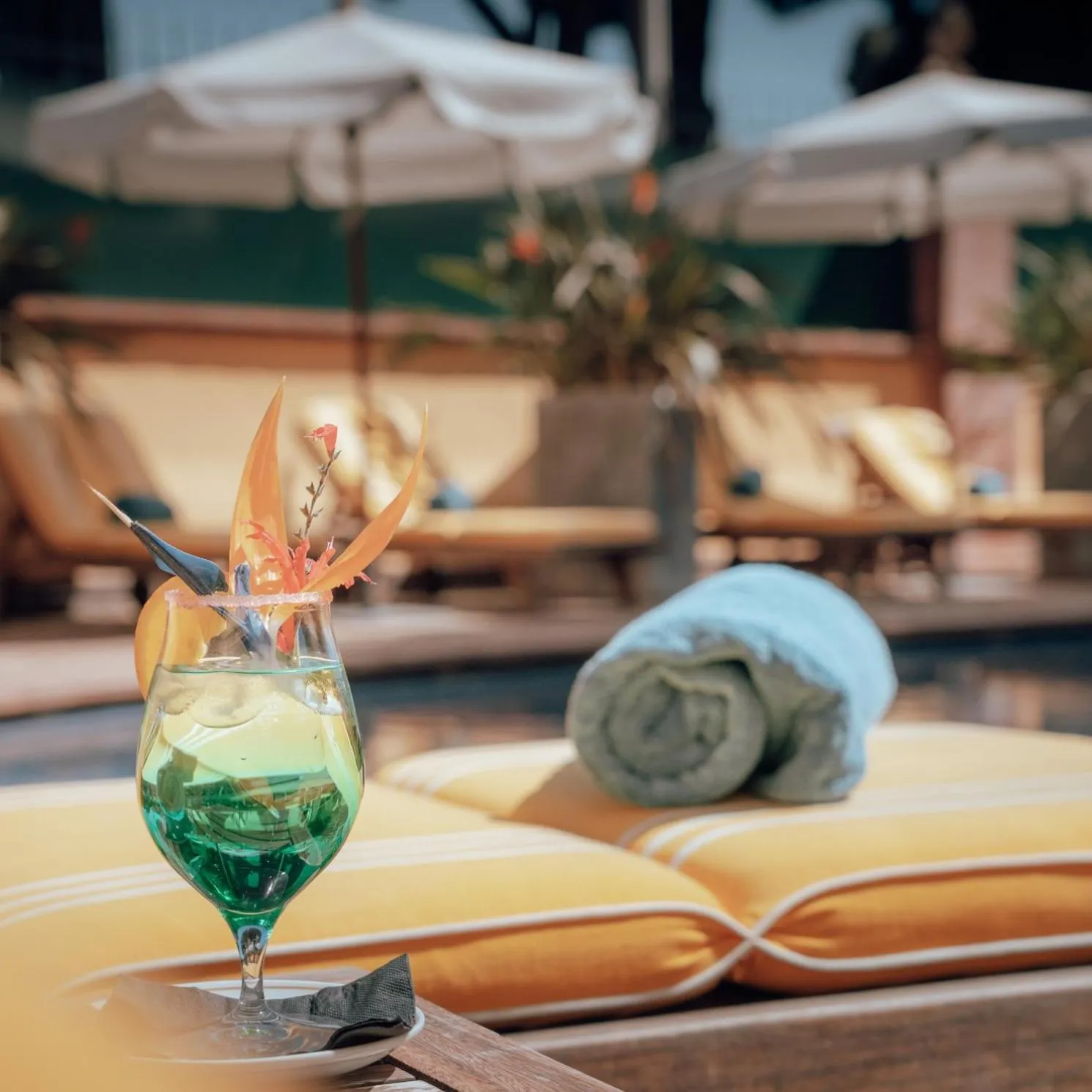 Swimming pool in Ermitage de l'Oasis & Spa - Cannes Mandelieu