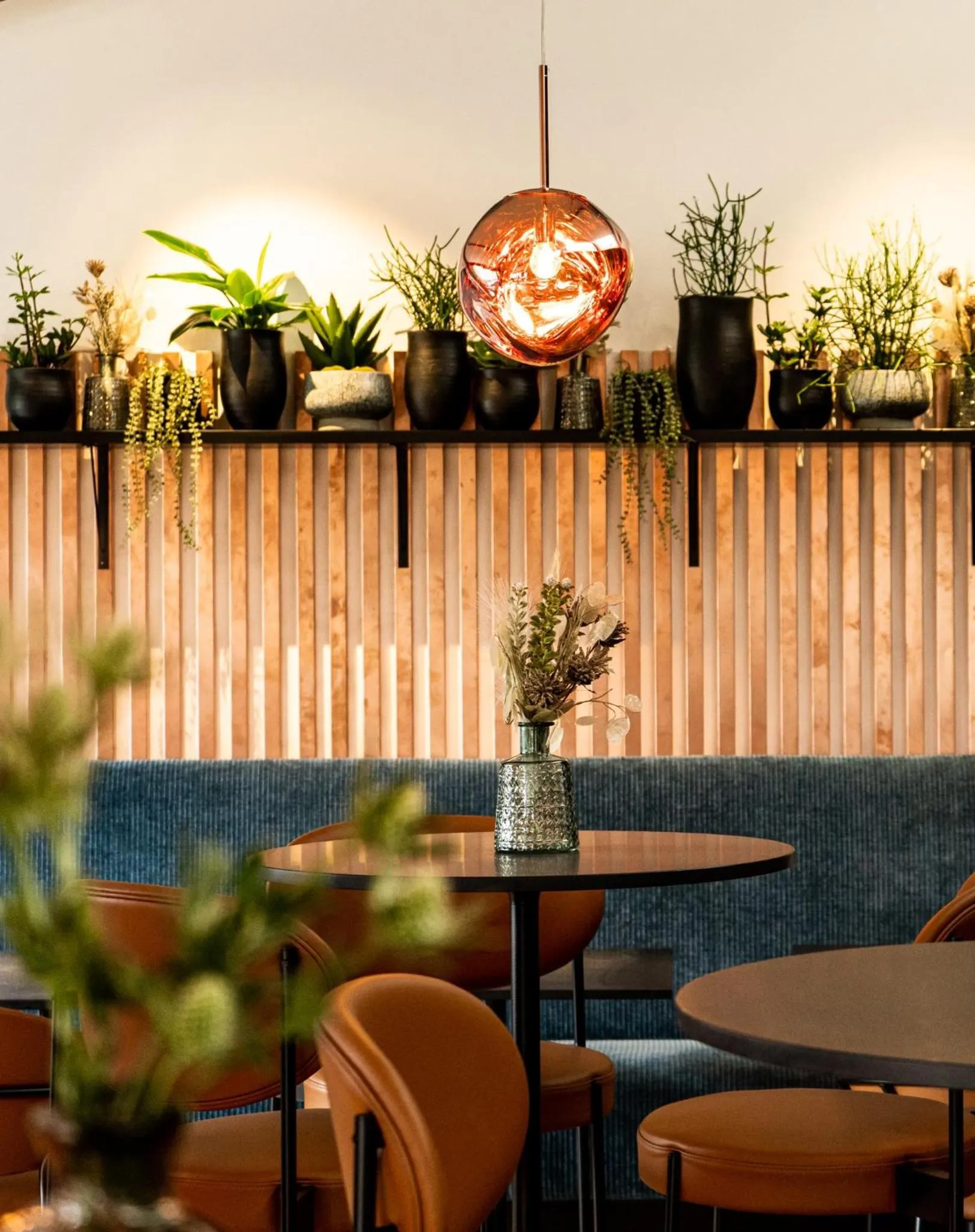 Restaurant/places to eat in HimmerLand