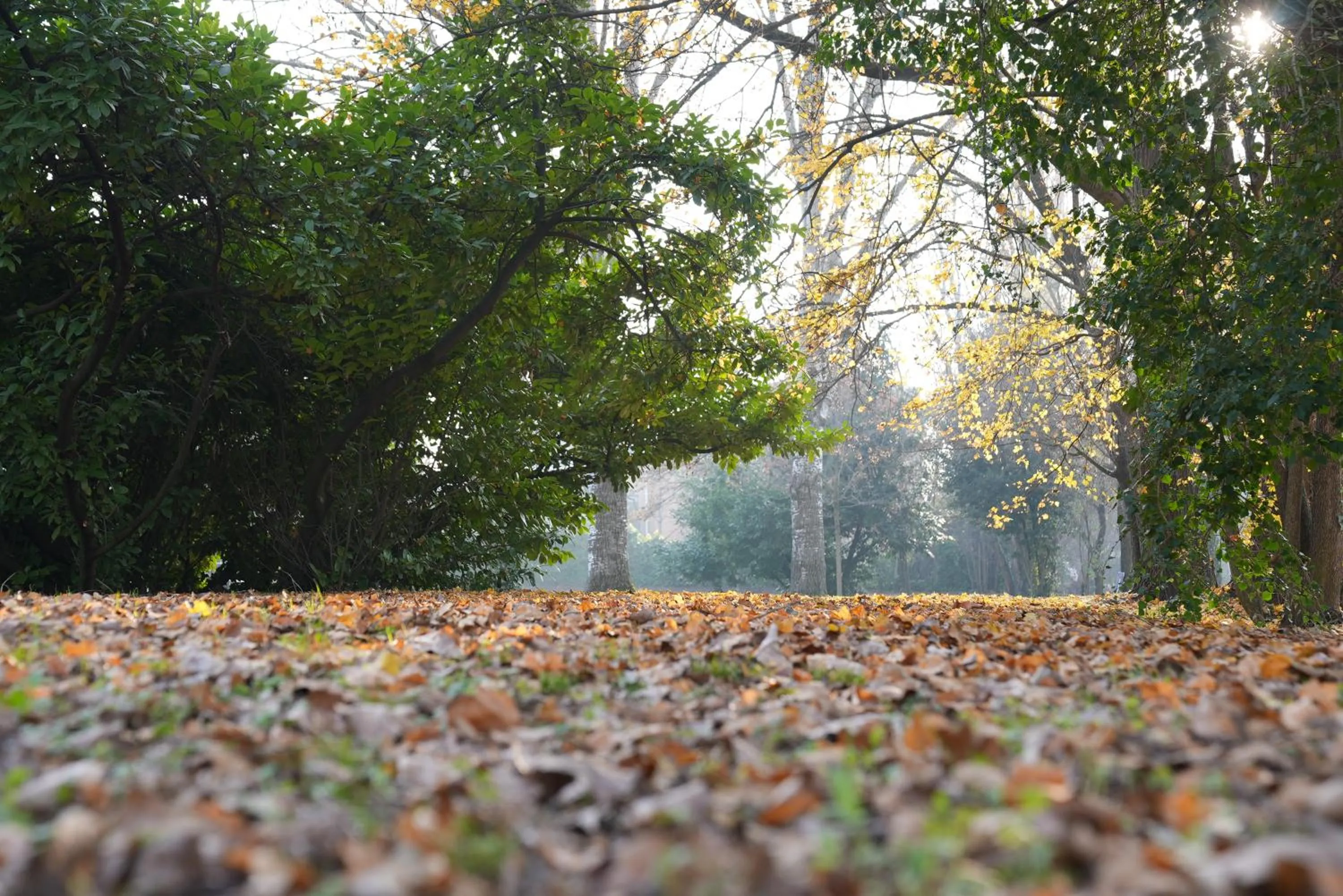 Property building in Hotel Albatros