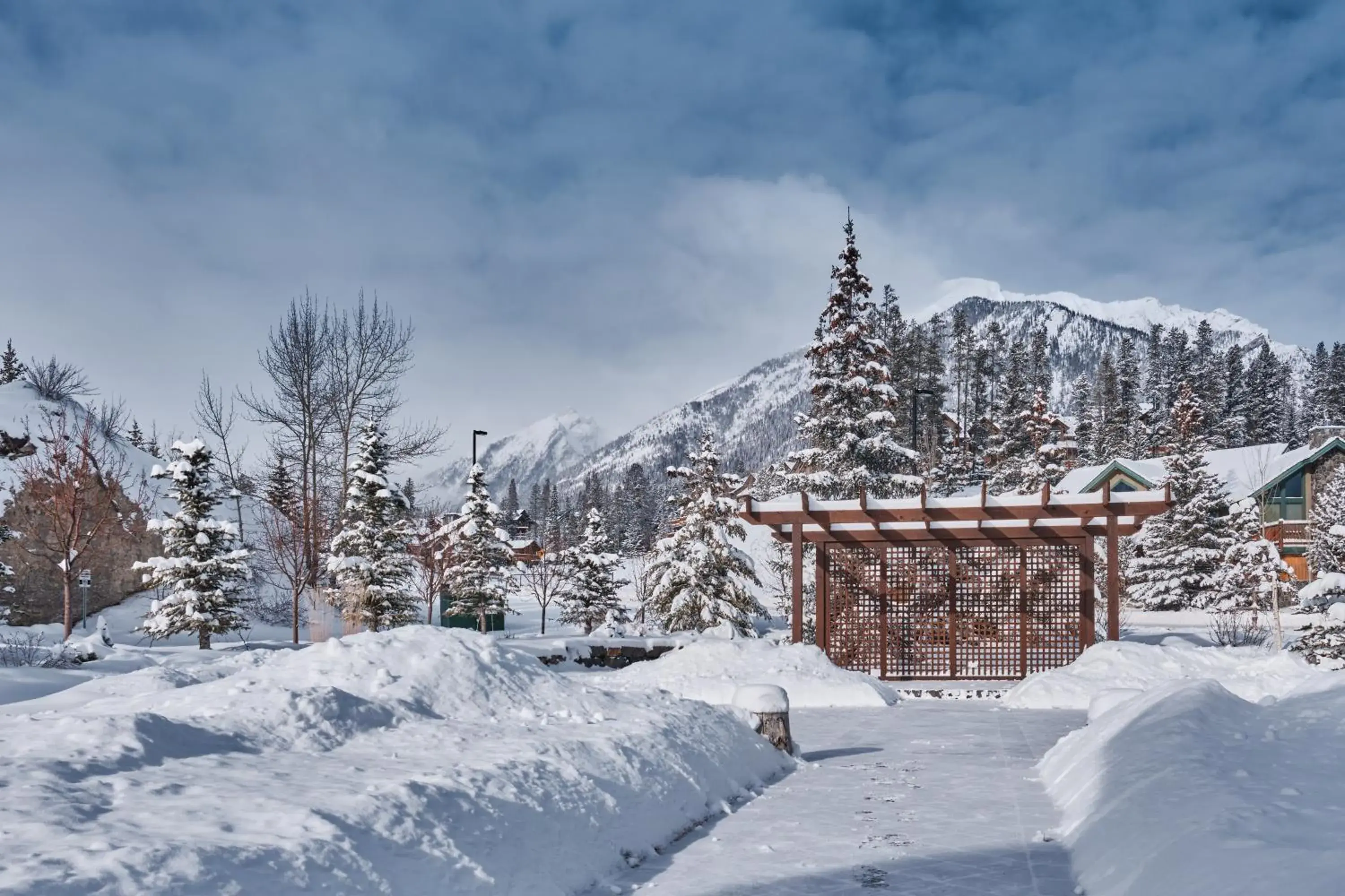 Garden, Winter in Creekside Villa