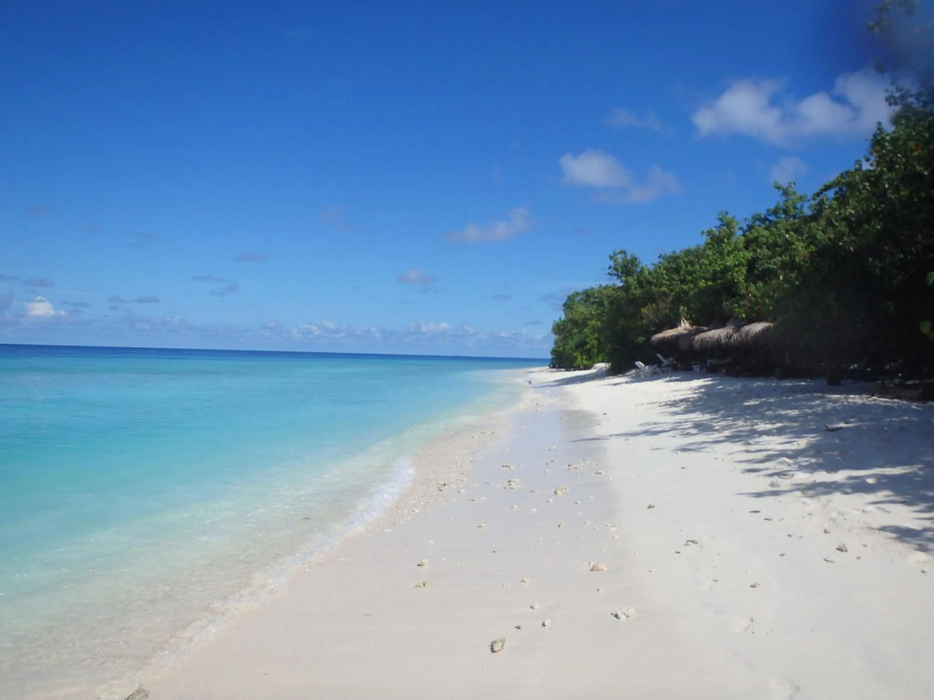Natural landscape in Beach Veli