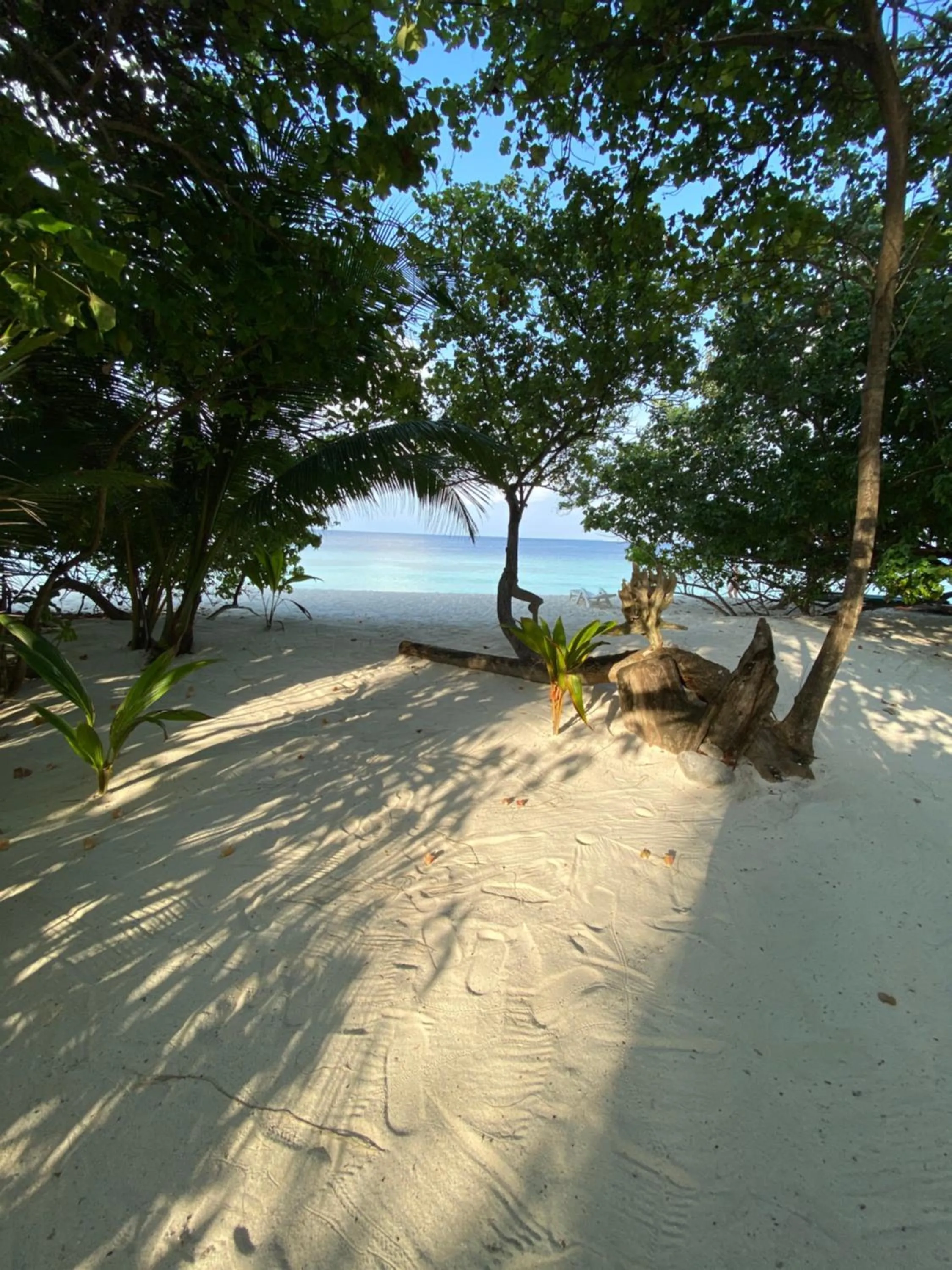 Beach in Beach Veli