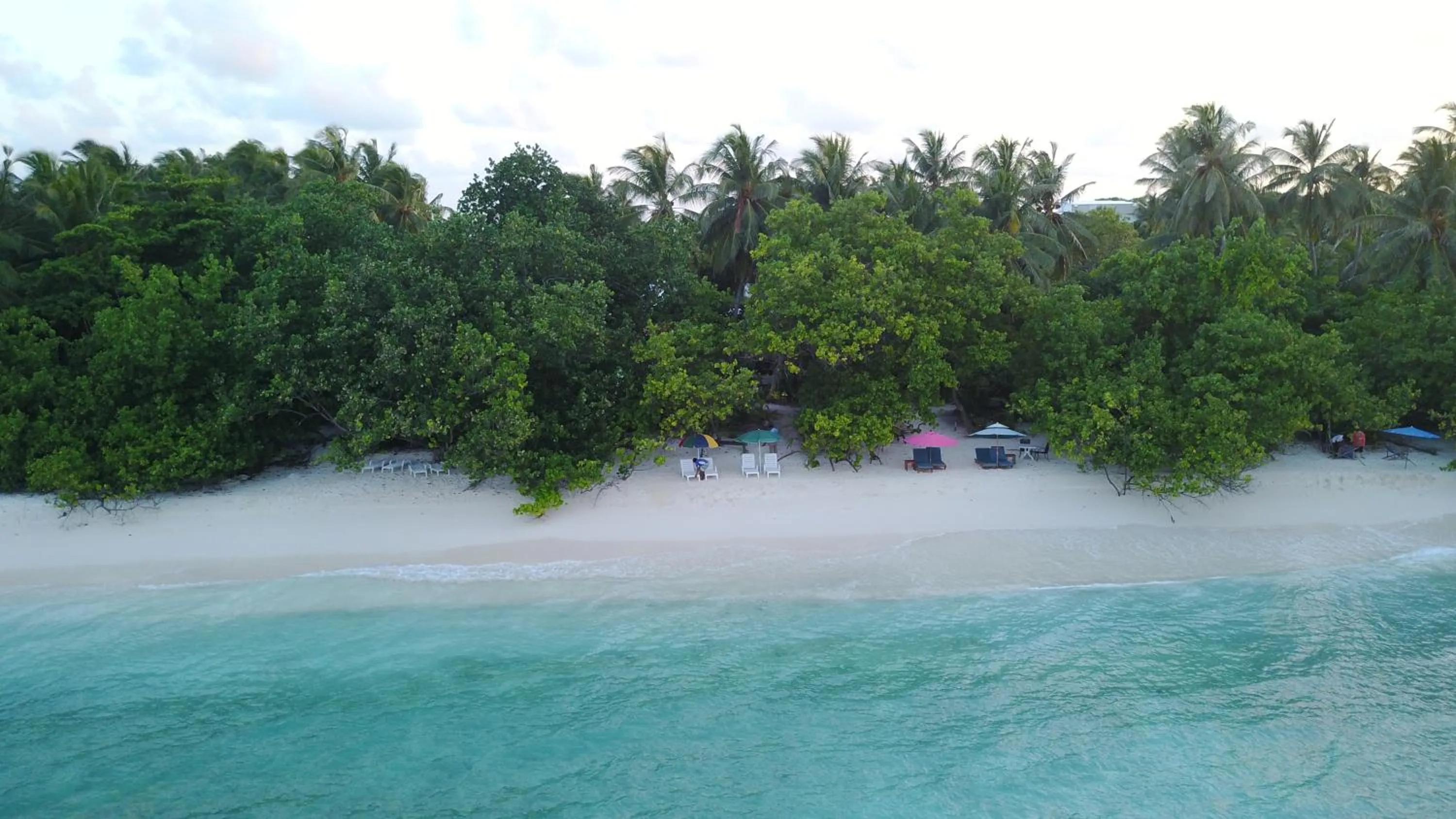 Natural landscape in Beach Veli