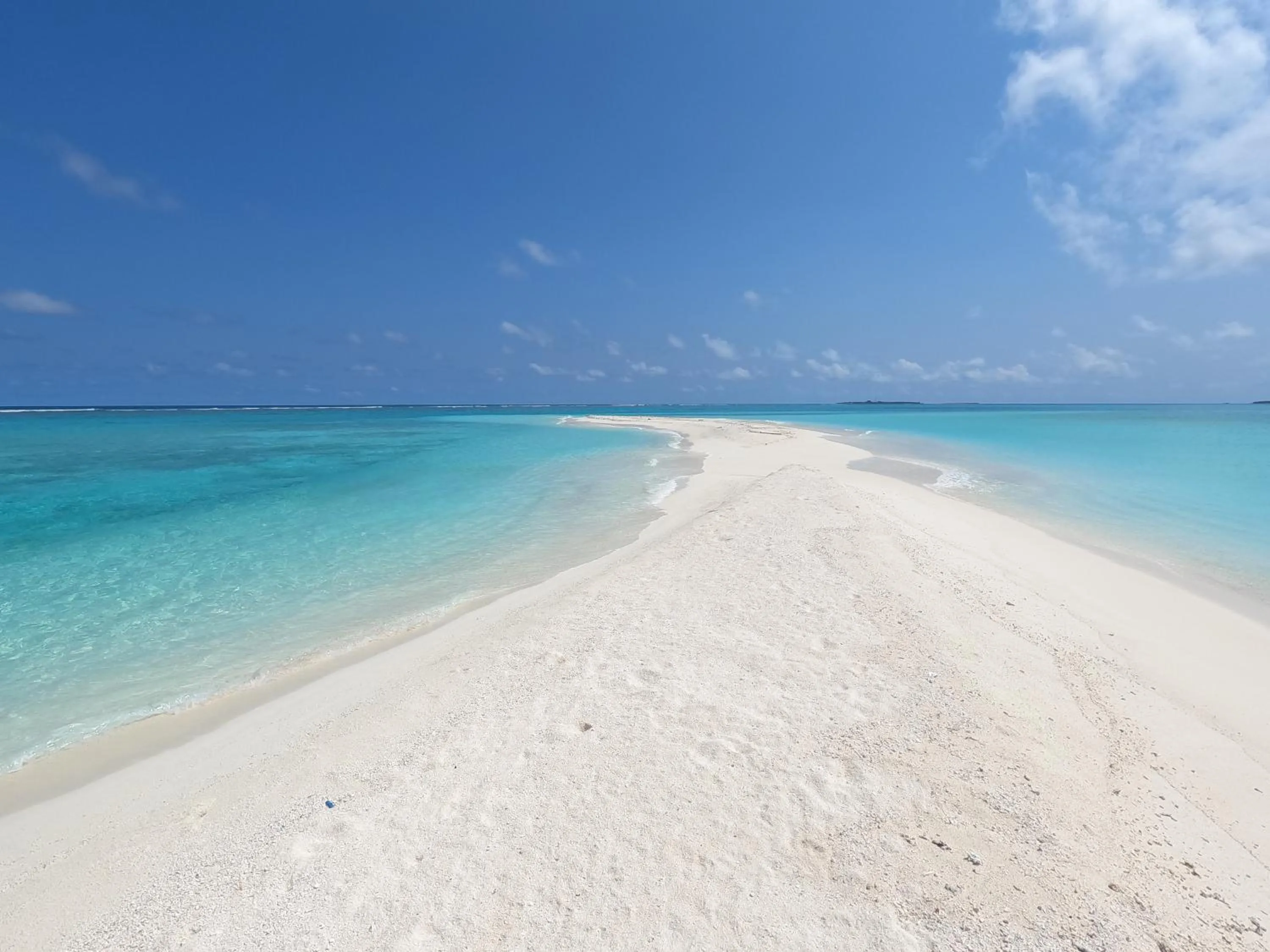 Activities in Beach Veli