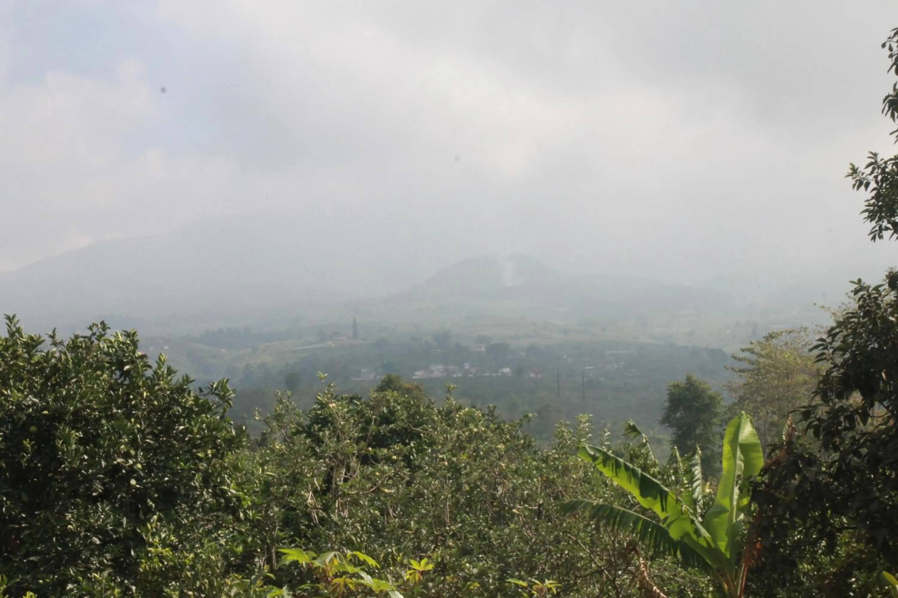 Natural landscape in Joglo Exotico