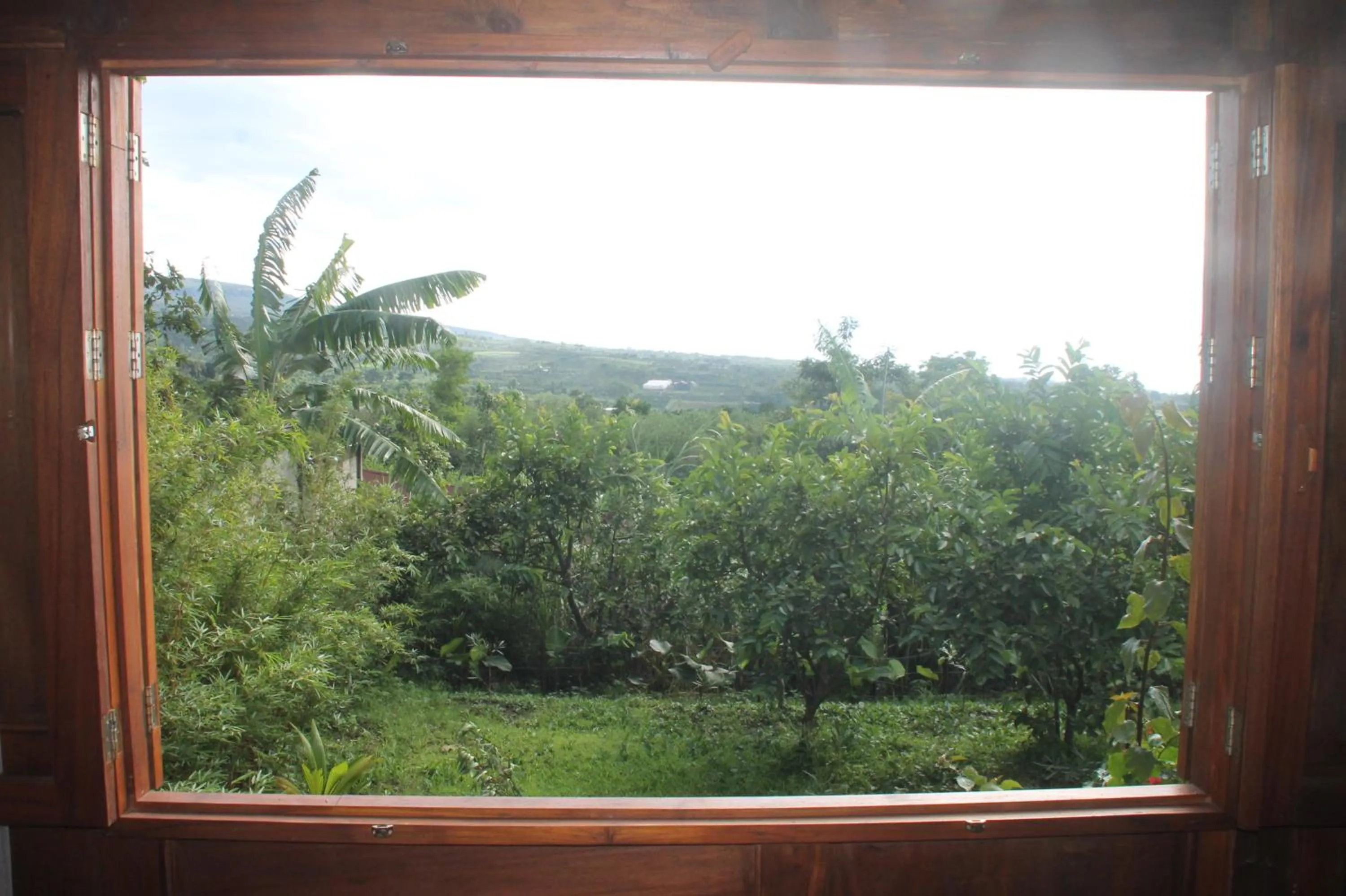 Garden view in Joglo Exotico