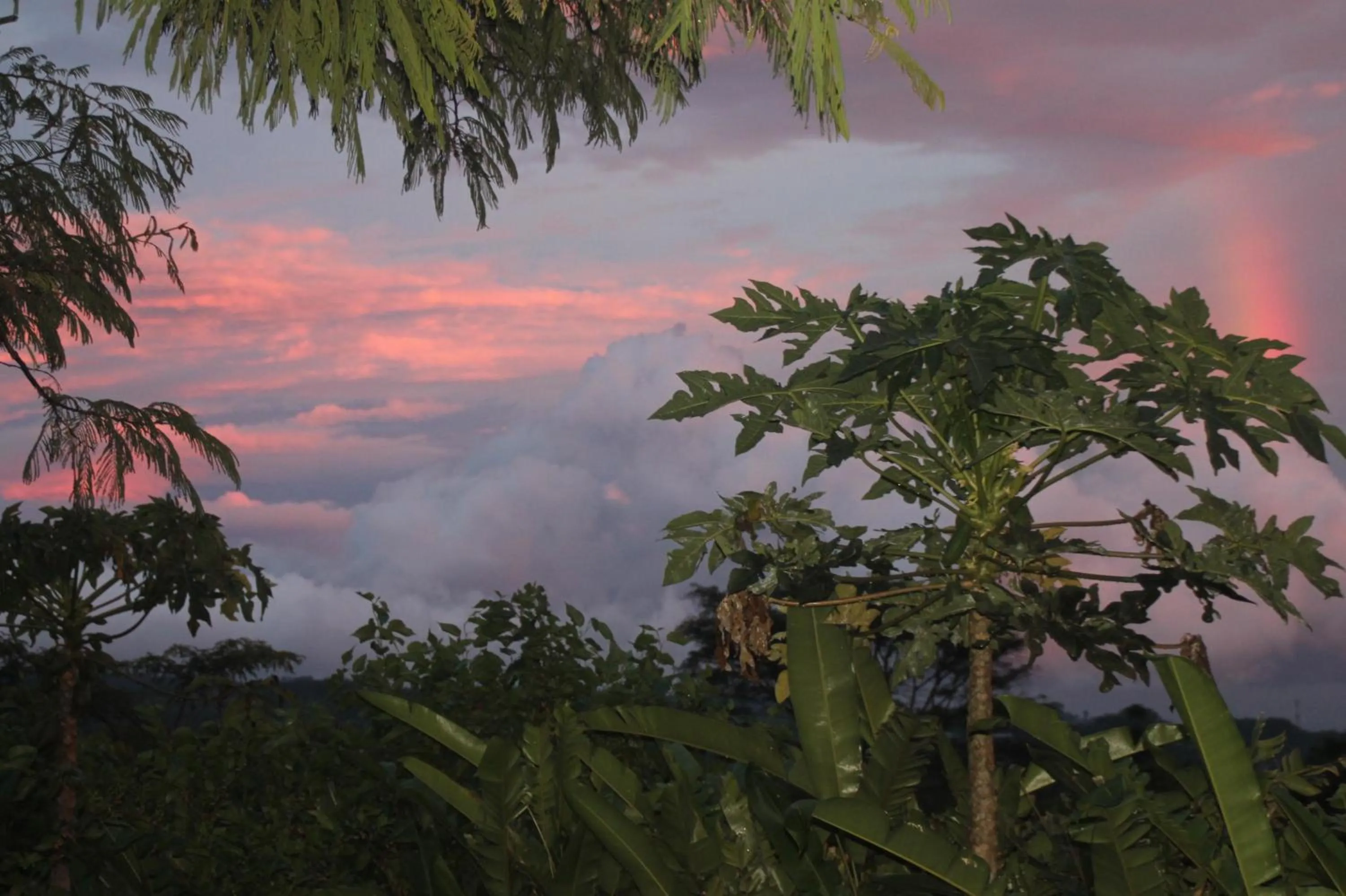 Sunset in Joglo Exotico