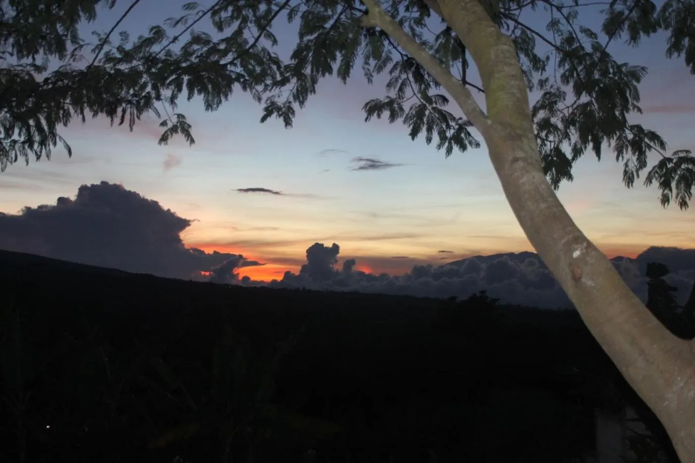 Natural landscape in Joglo Exotico