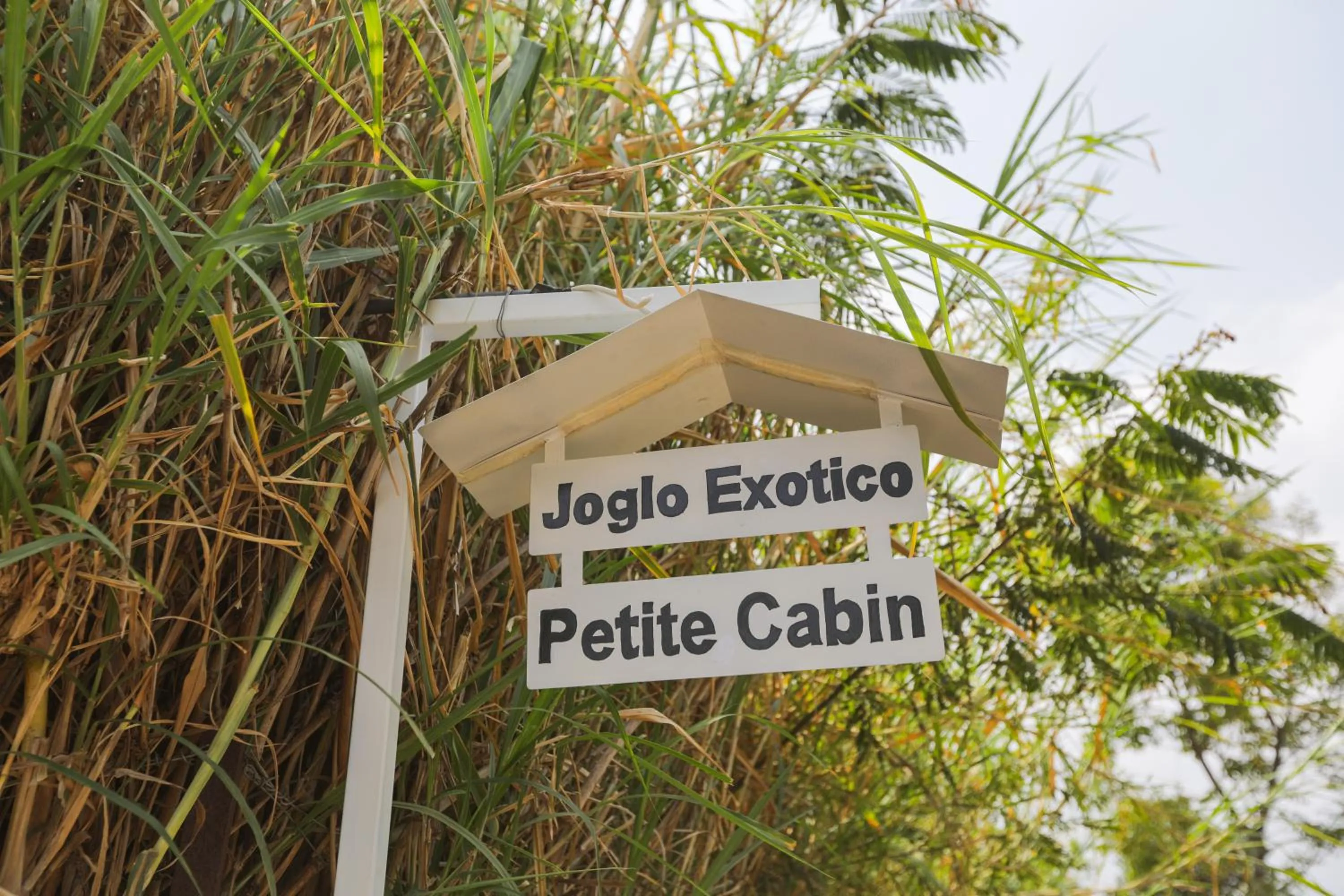 Joglo Exotico