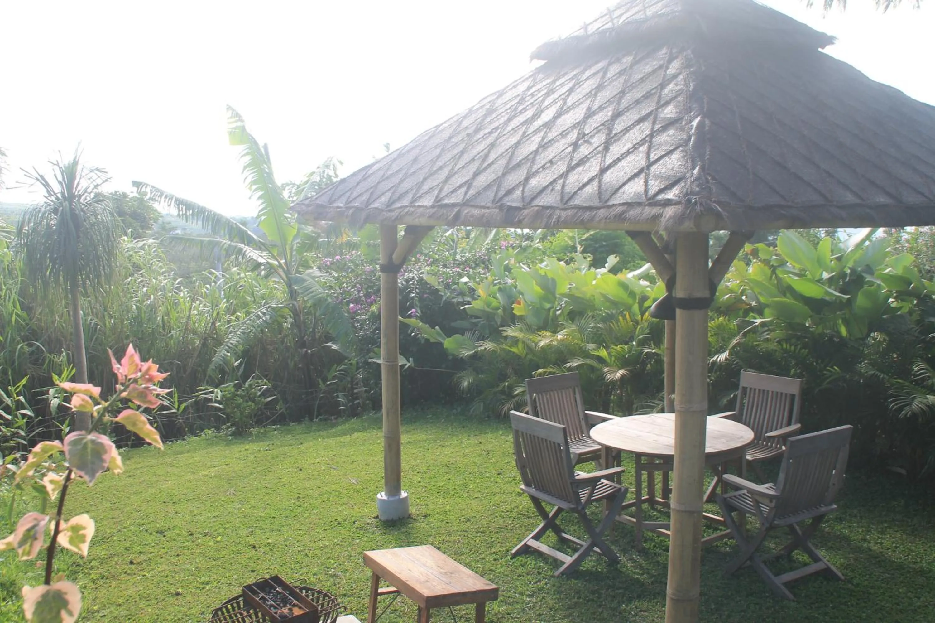 Garden view in Joglo Exotico