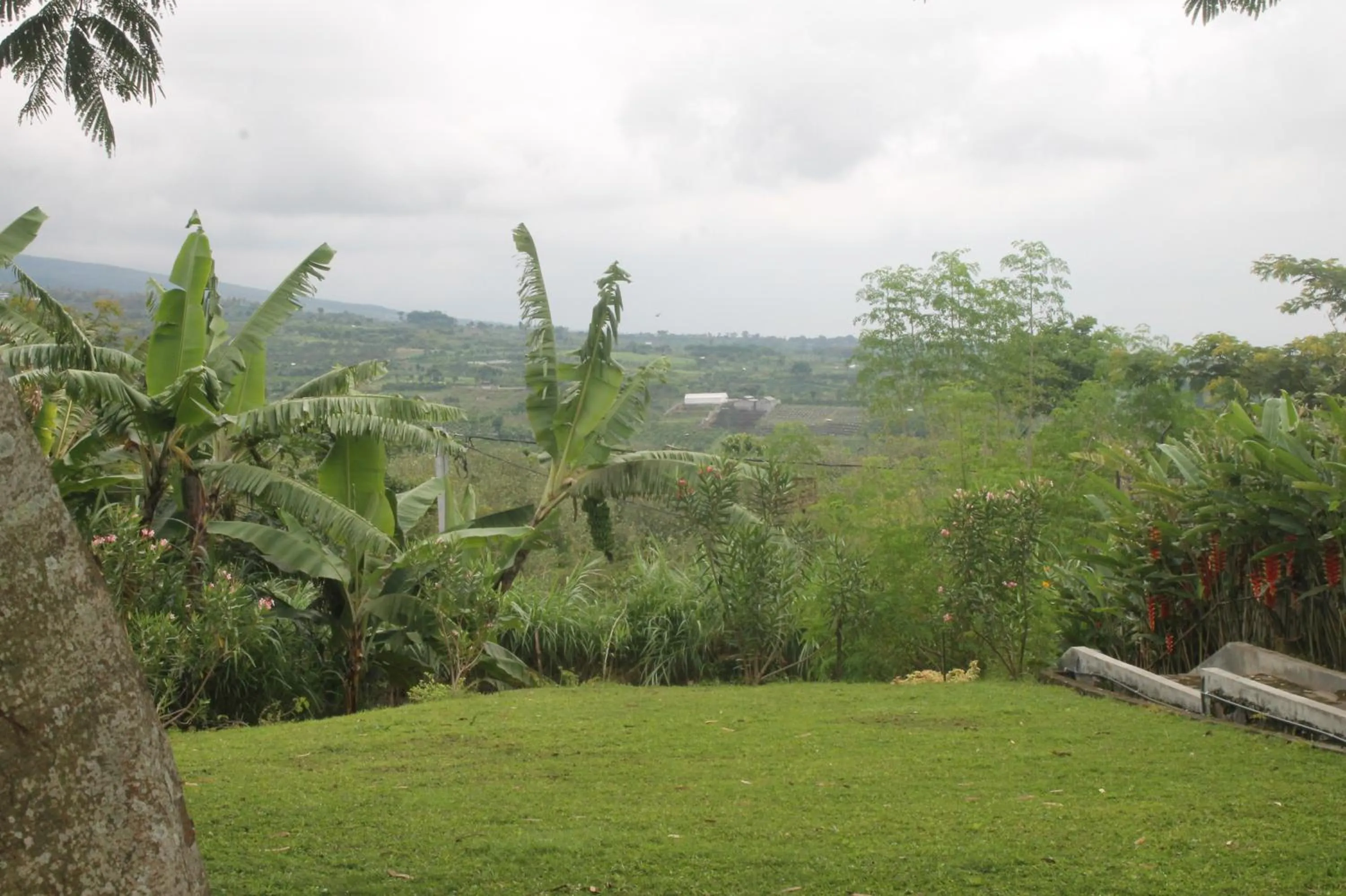Natural landscape in Joglo Exotico