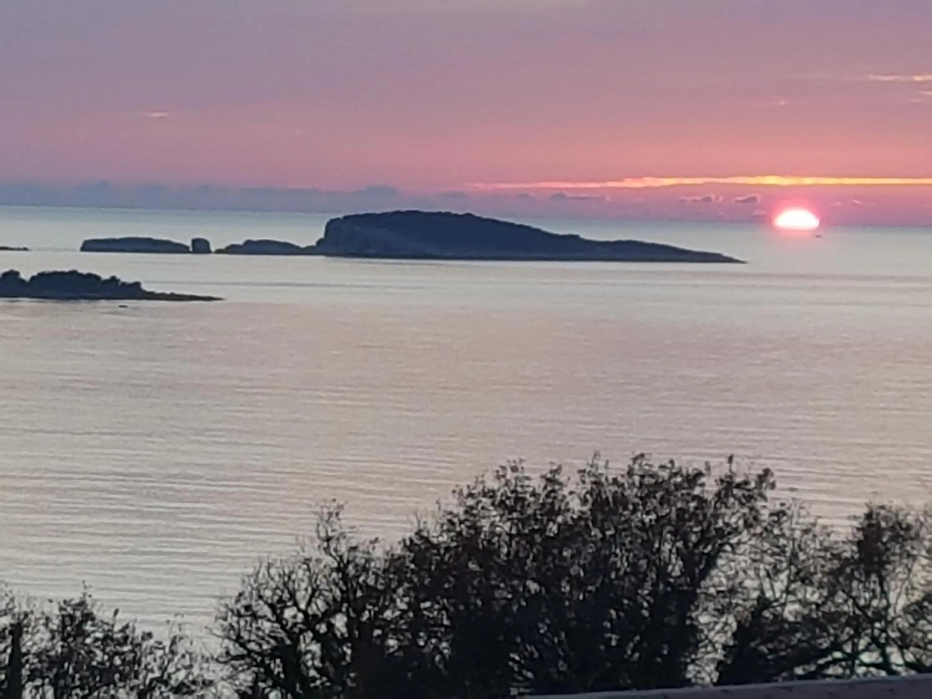 Sea view in Apartments Villa Maria
