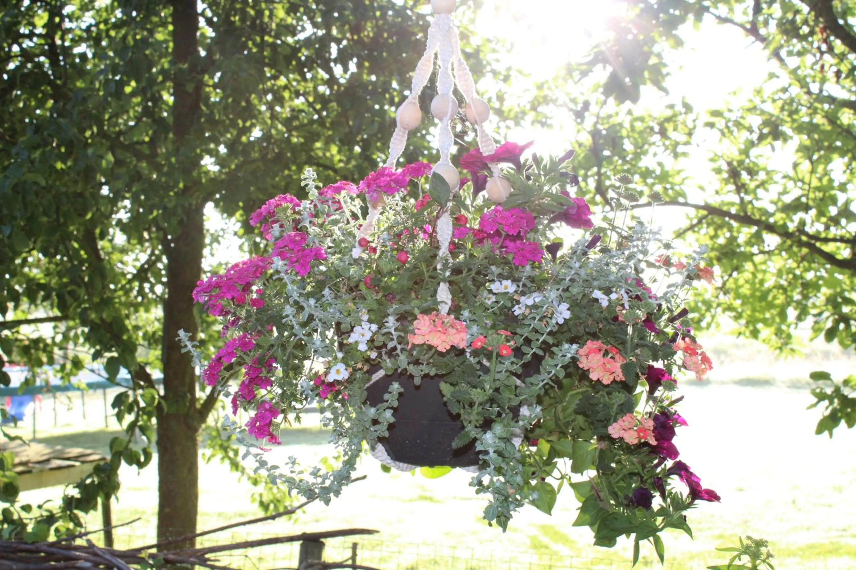 Other in Bed and Stay Amsterdam