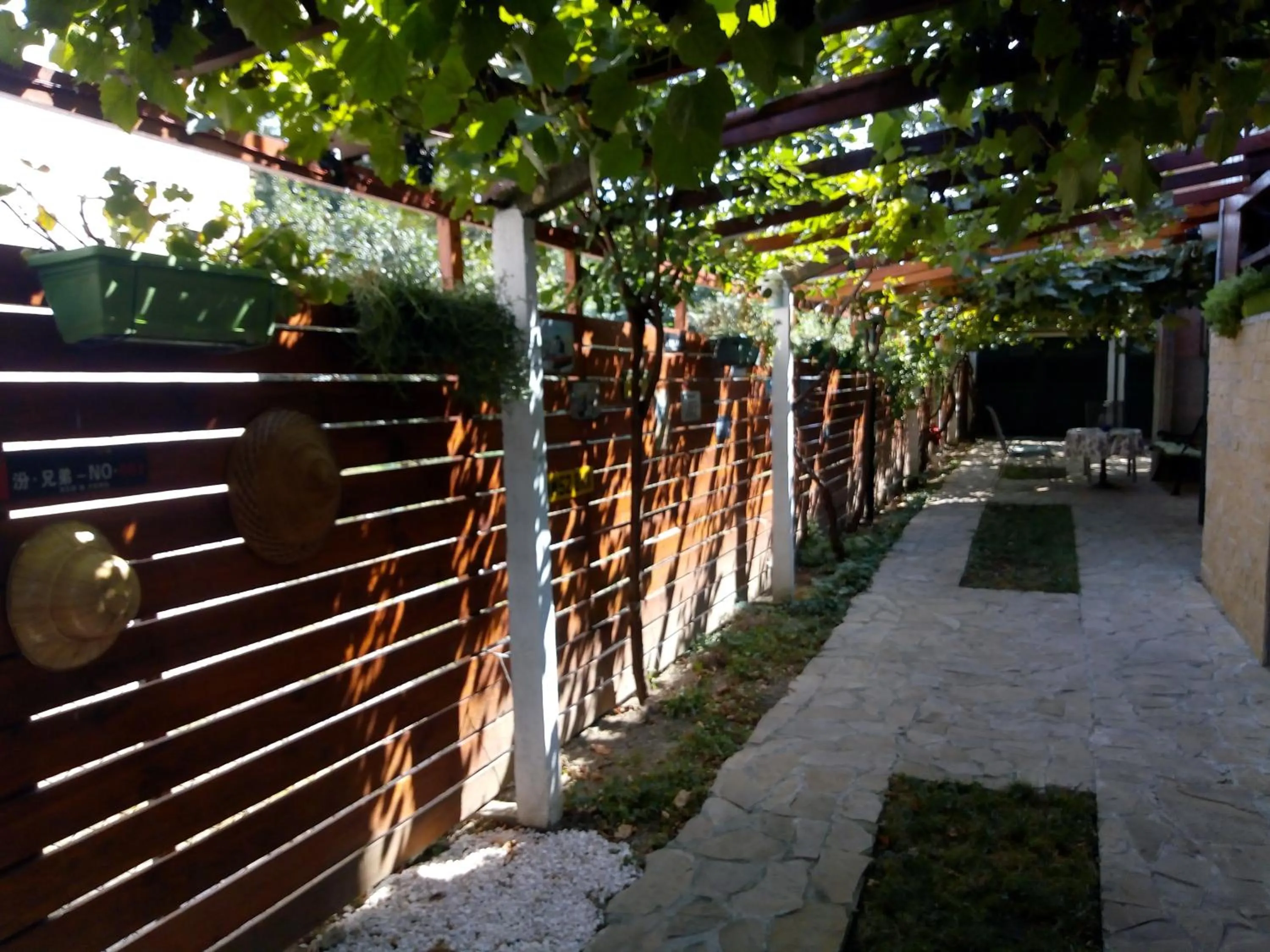 Garden in Meda Apartment