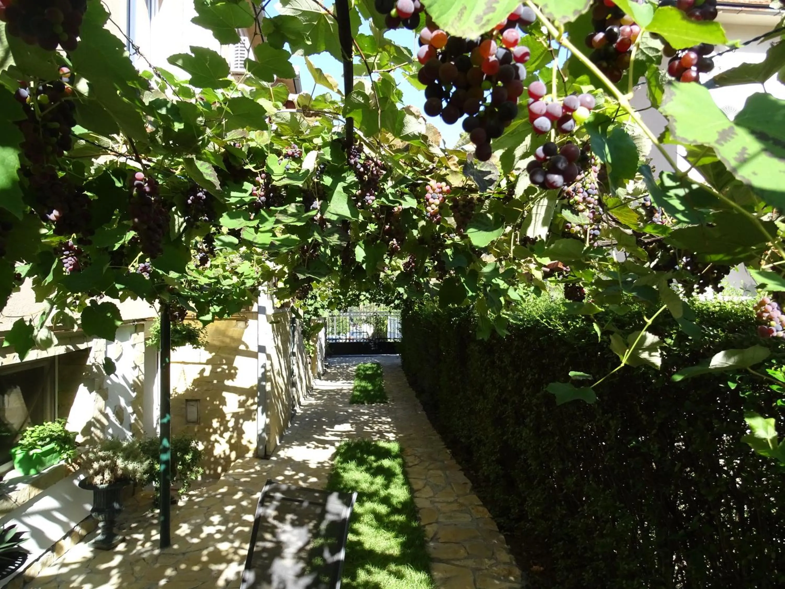 Garden in Meda Apartment
