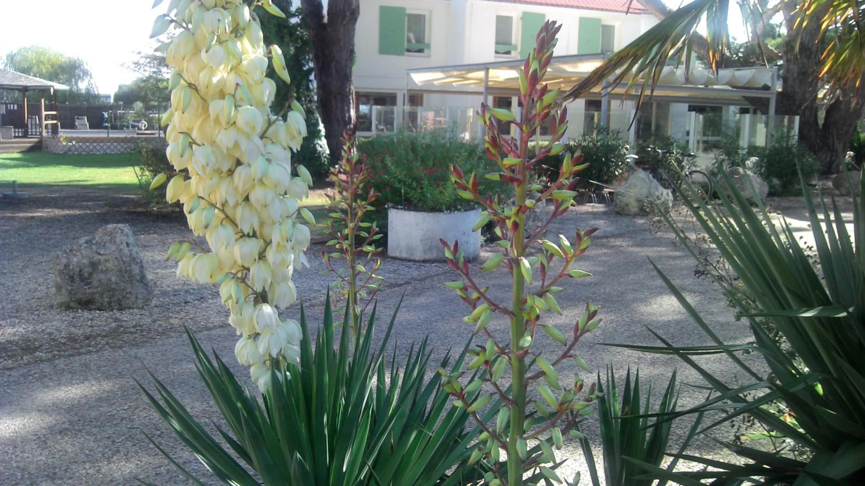 Property building in Le Parasol