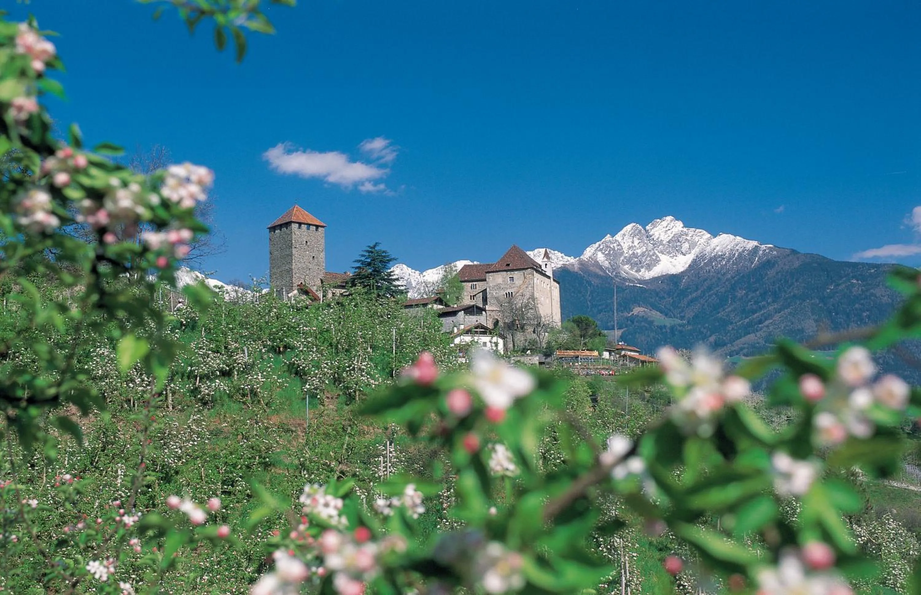 Nearby landmark in Hotel Schönbrunn