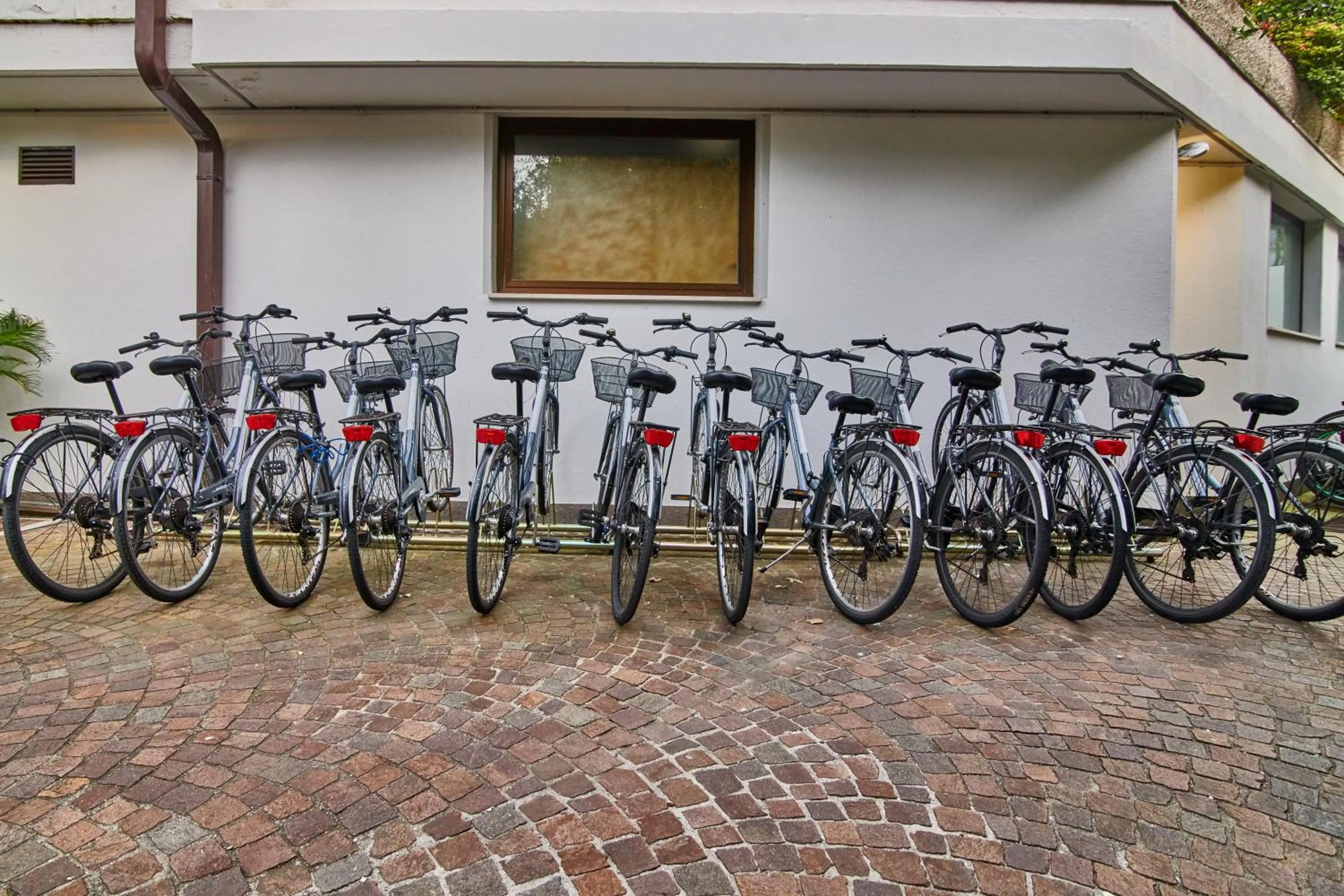 Cycling in Hotel Lido Blu - Surf & Bike