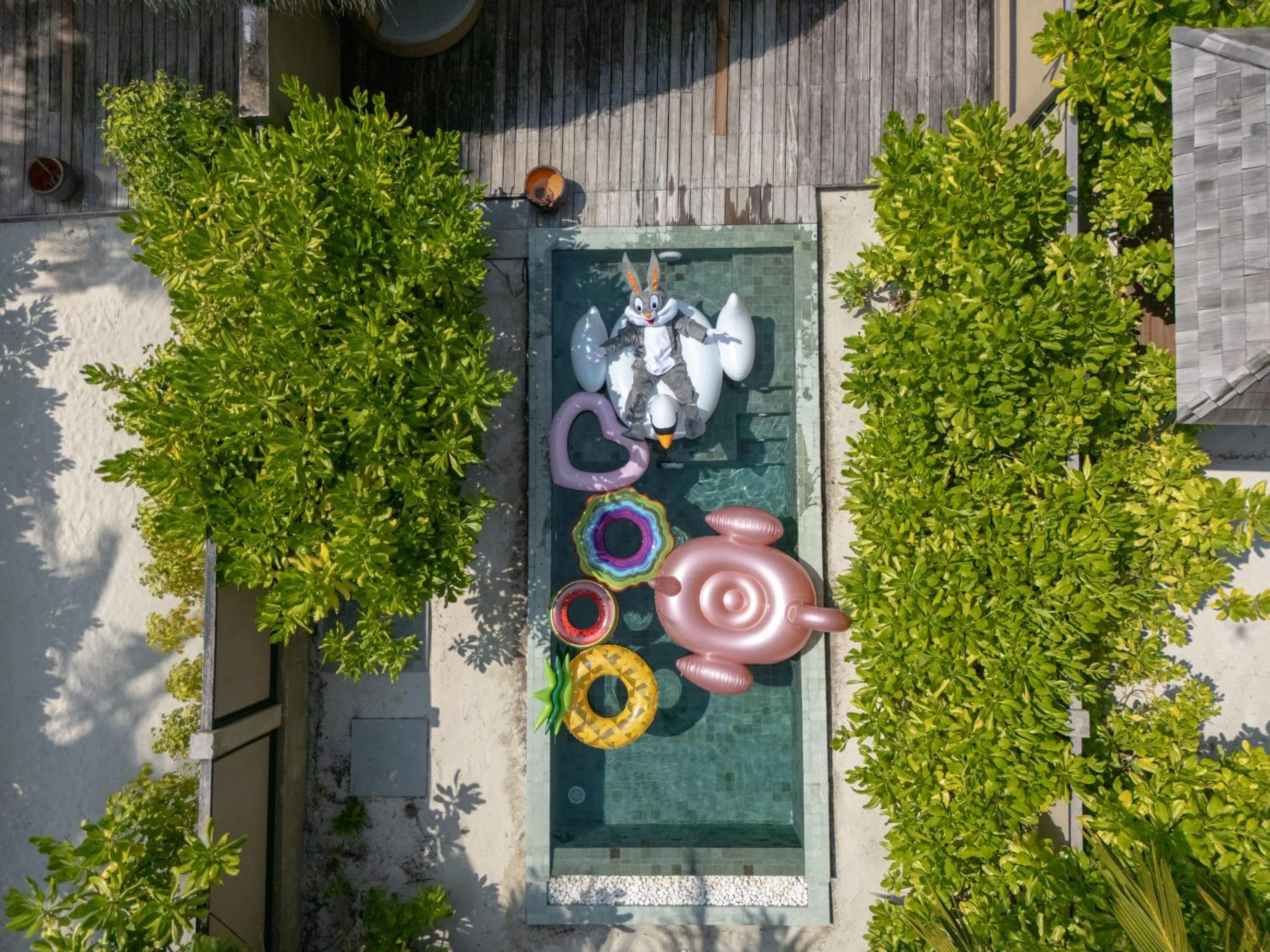 Activities in Angsana Velavaru - Enjoy 20 percent off Return Seaplane for Two guests on stays of 4 nights or more between 1 March to 23 December 2026