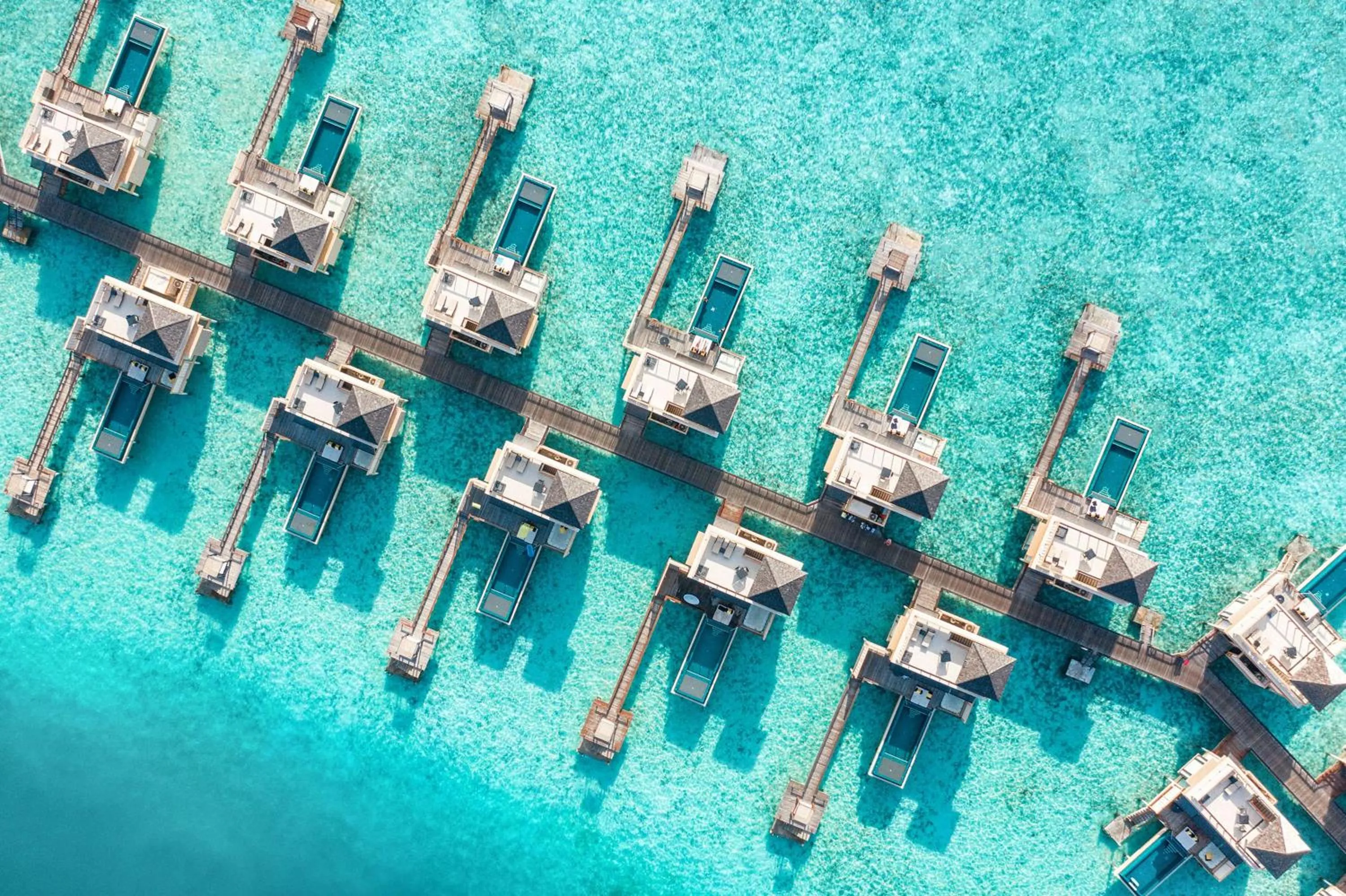 Beach in Angsana Velavaru - Enjoy 20 percent off Return Seaplane for Two guests on stays of 4 nights or more between 1 March to 23 December 2026