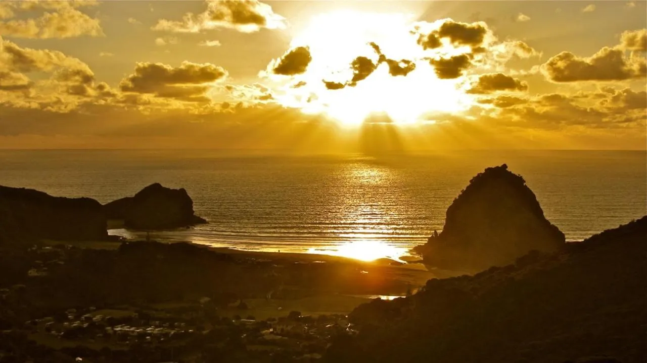 Natural landscape in Piha Beachstay Accommodation