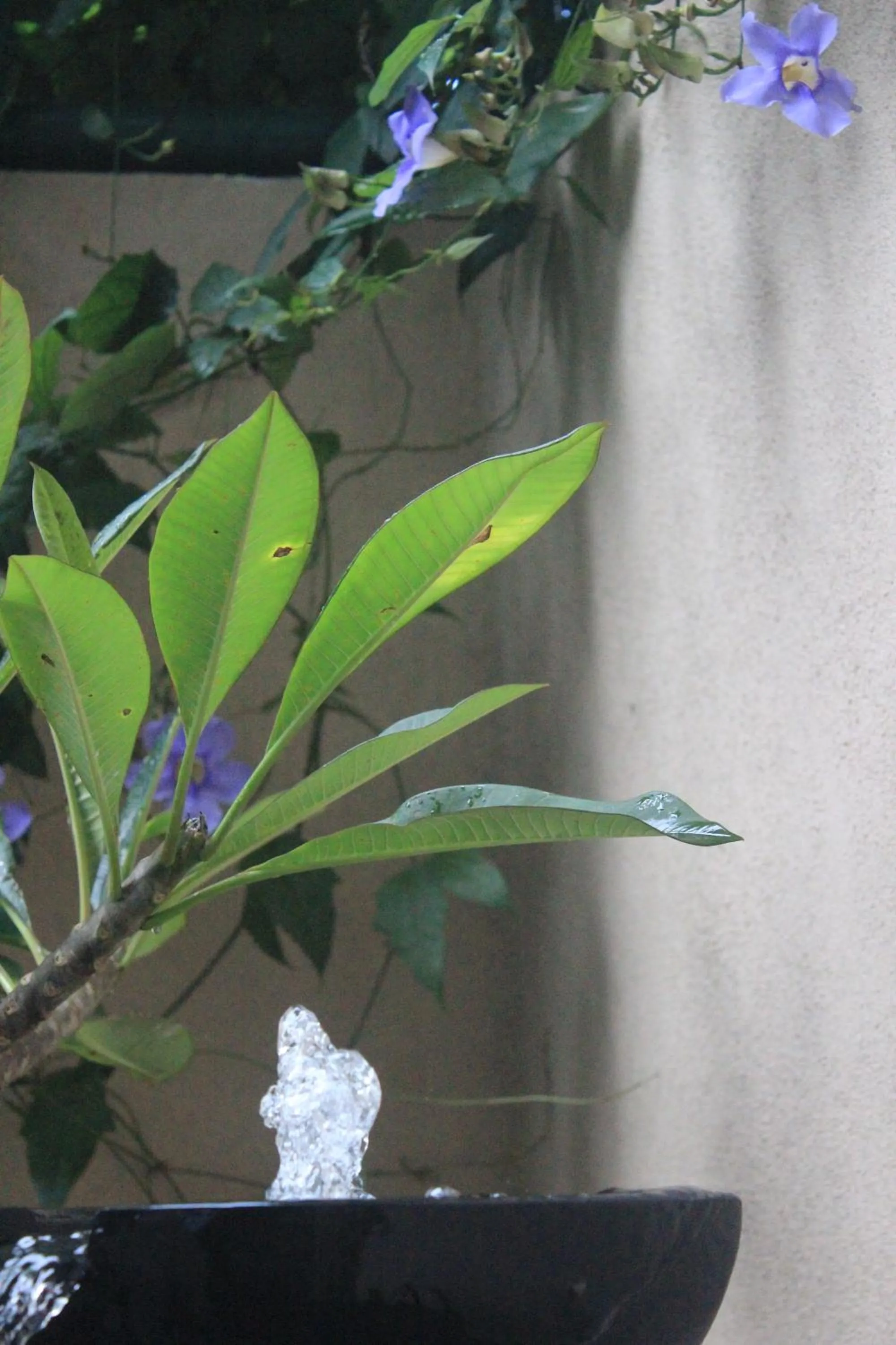 Decorative detail in Atelier