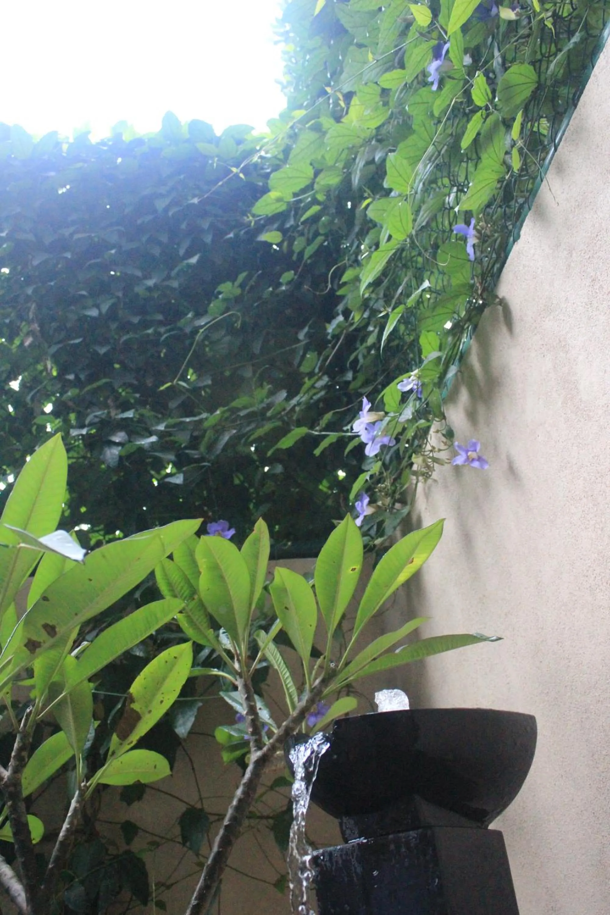 Decorative detail in Atelier