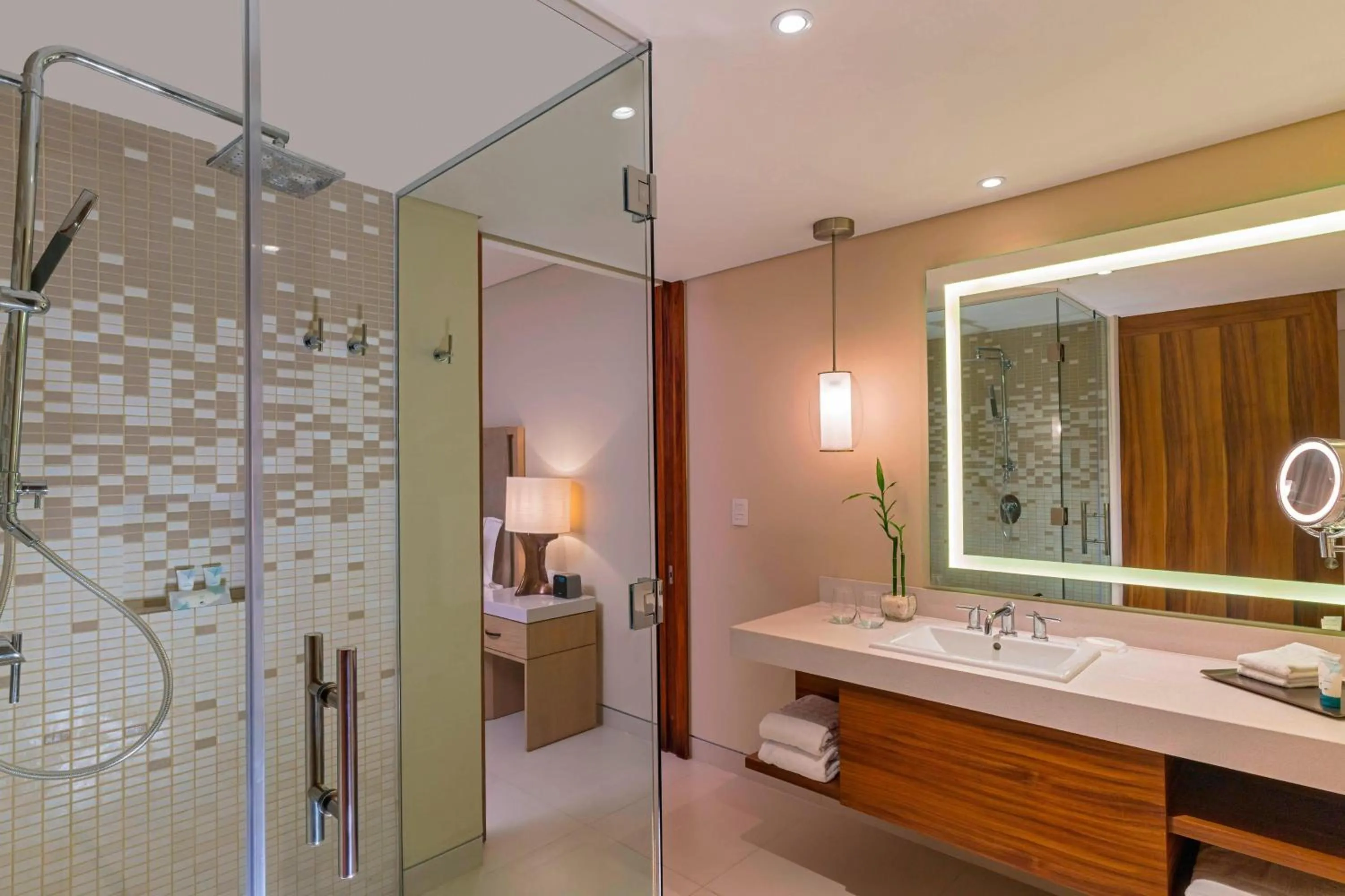 Bathroom in The Westin Cozumel