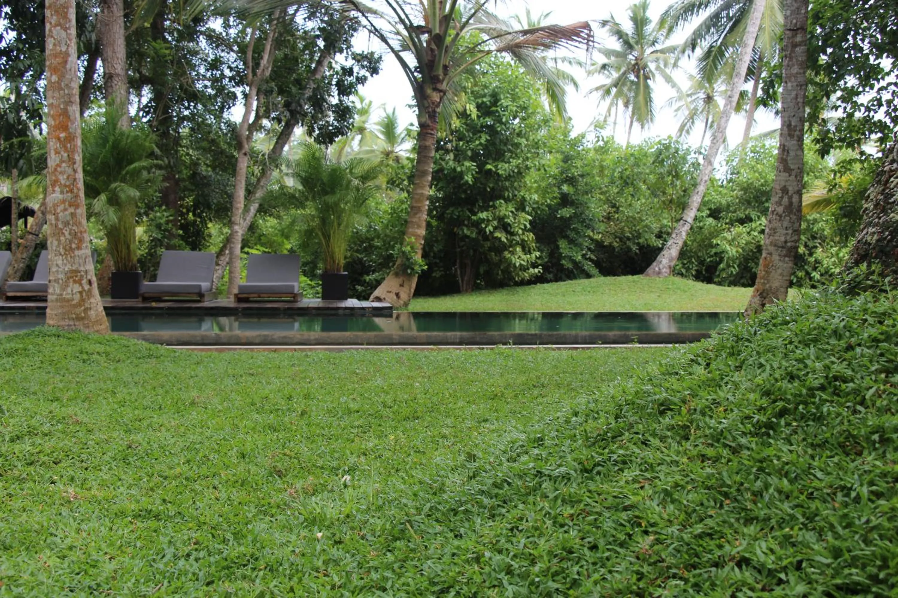 Swimming pool in KAJU GREEN eco lodges