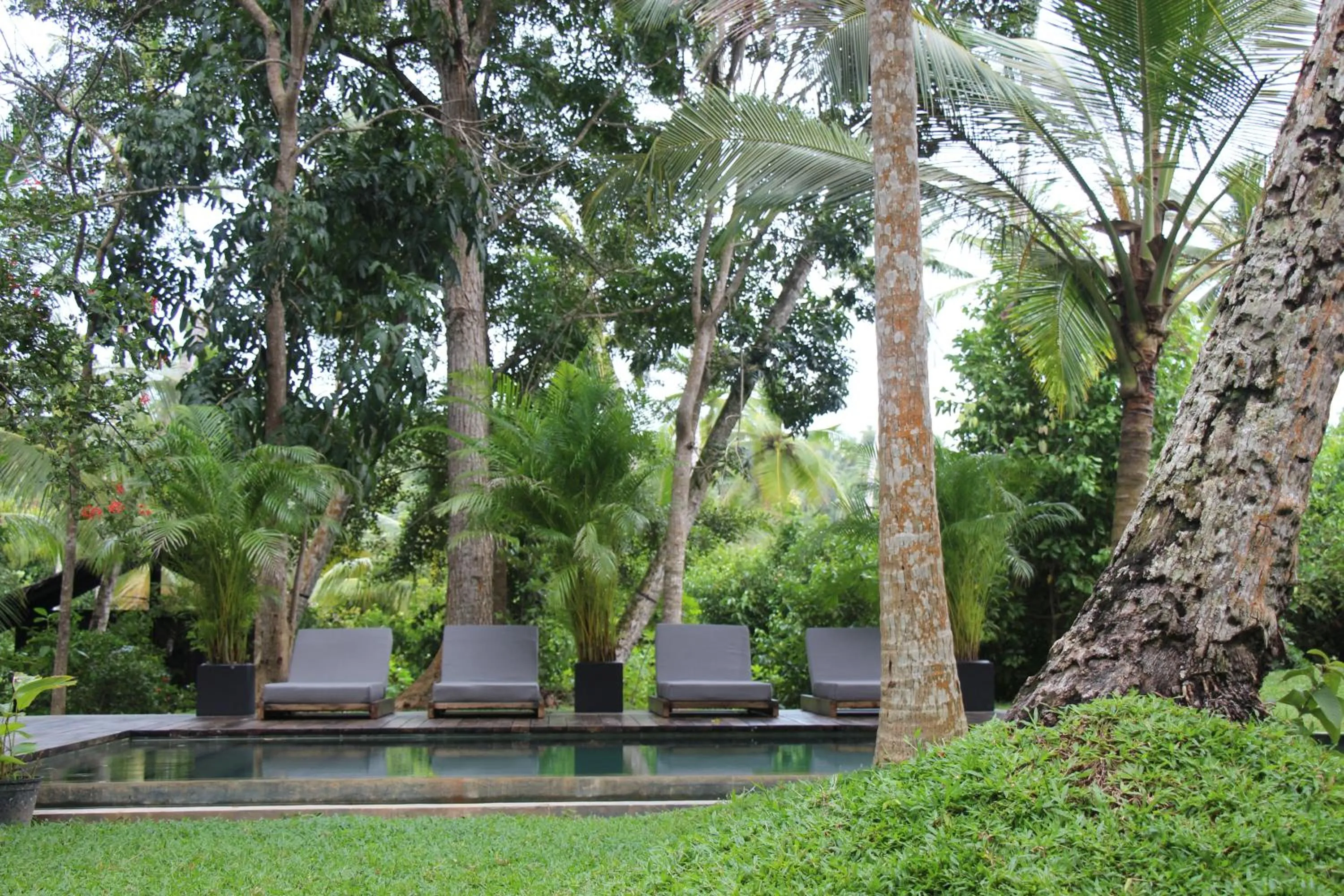 Swimming pool in KAJU GREEN eco lodges