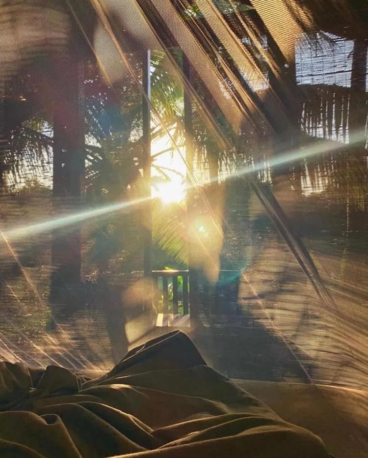 KAJU GREEN eco lodges