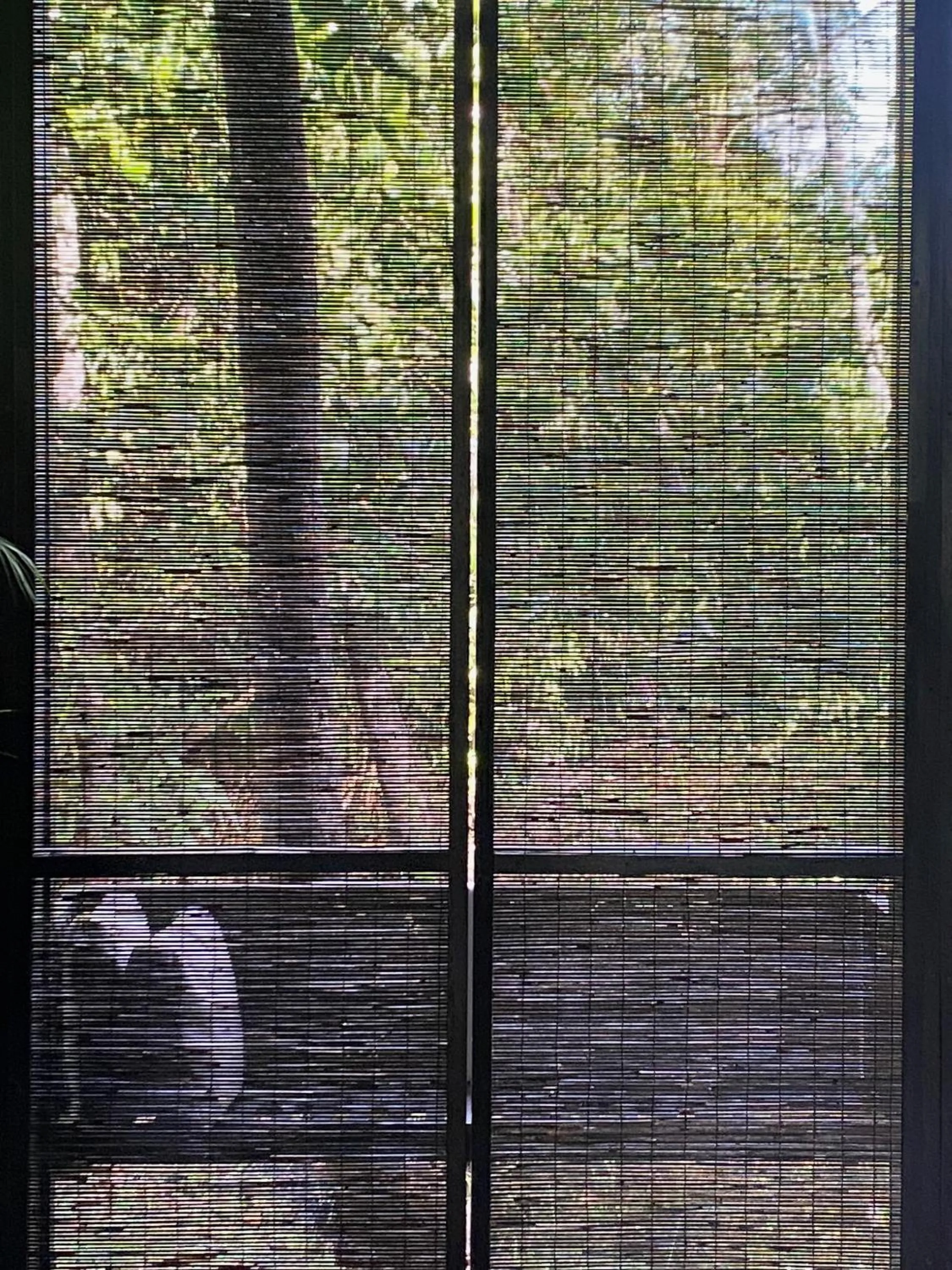 KAJU GREEN eco lodges