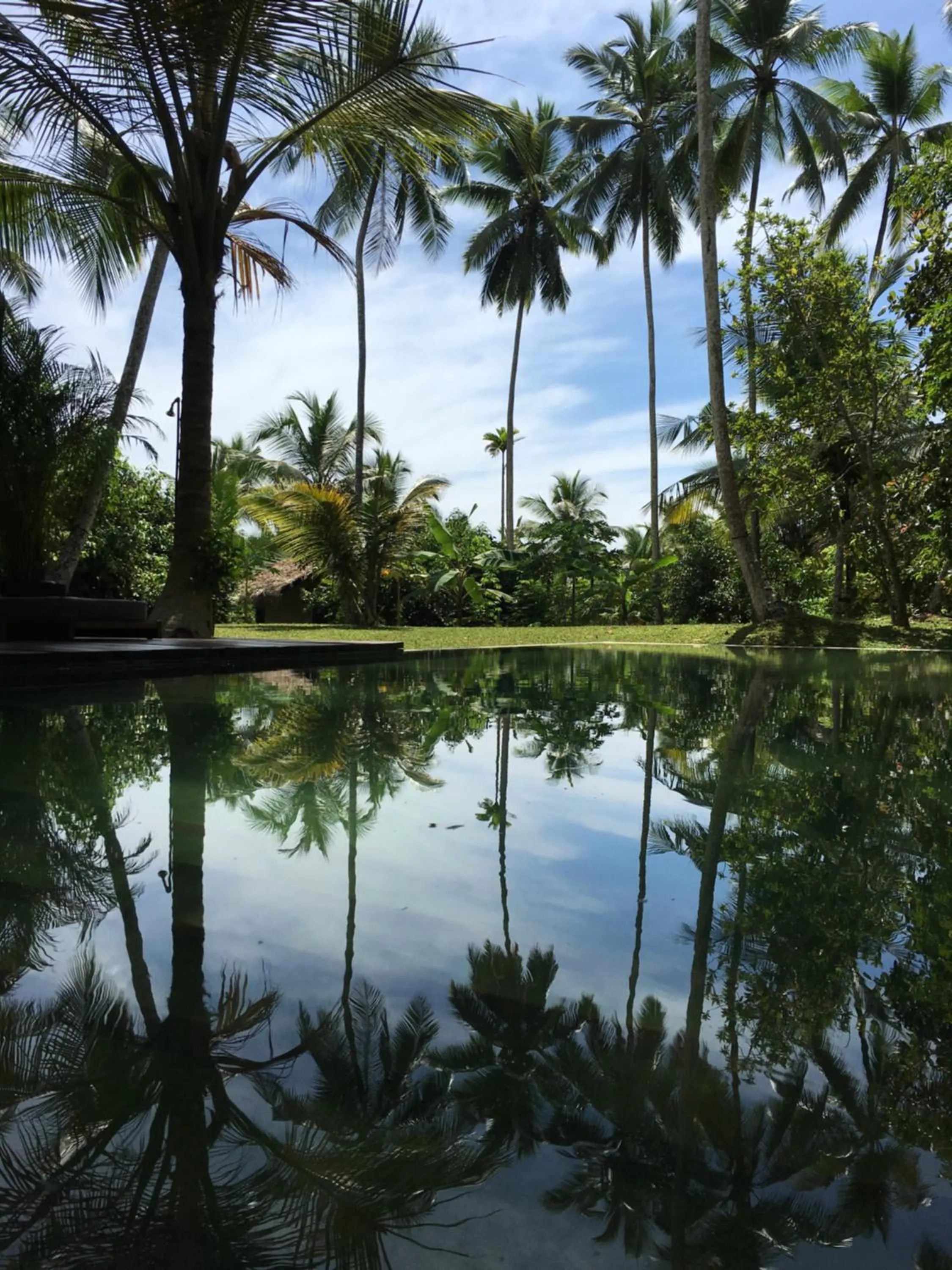 Swimming pool in KAJU GREEN eco lodges