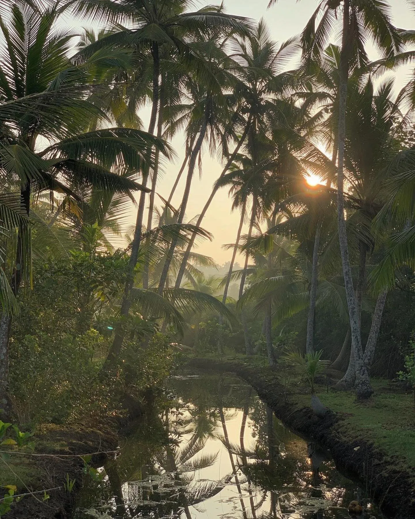 Natural landscape in KAJU GREEN eco lodges