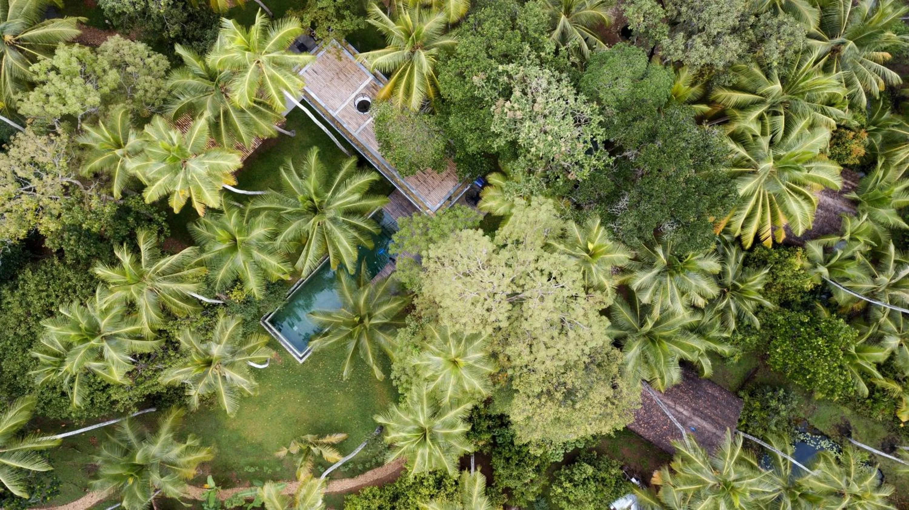 Restaurant/places to eat in KAJU GREEN eco lodges