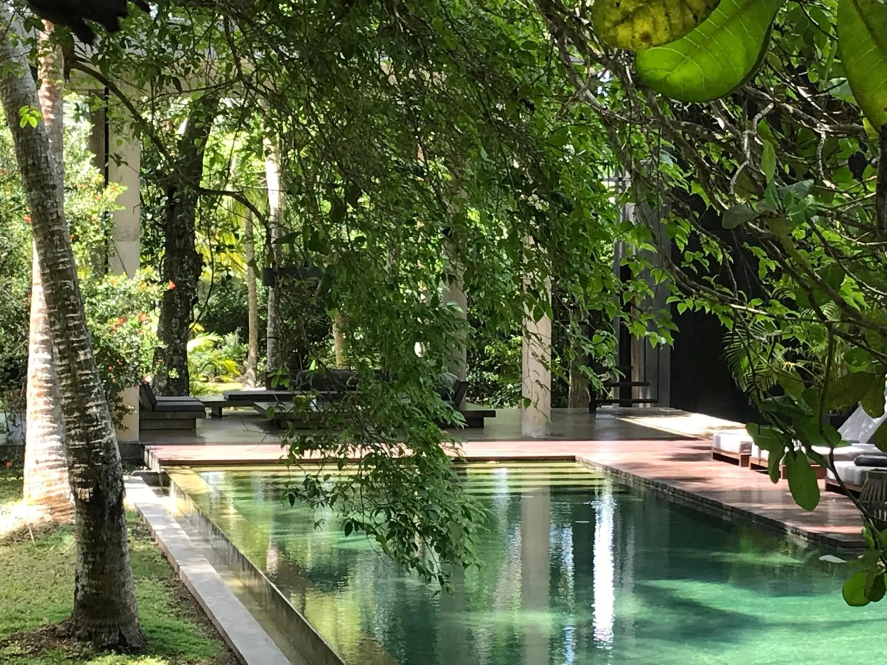 Lounge or bar in KAJU GREEN eco lodges