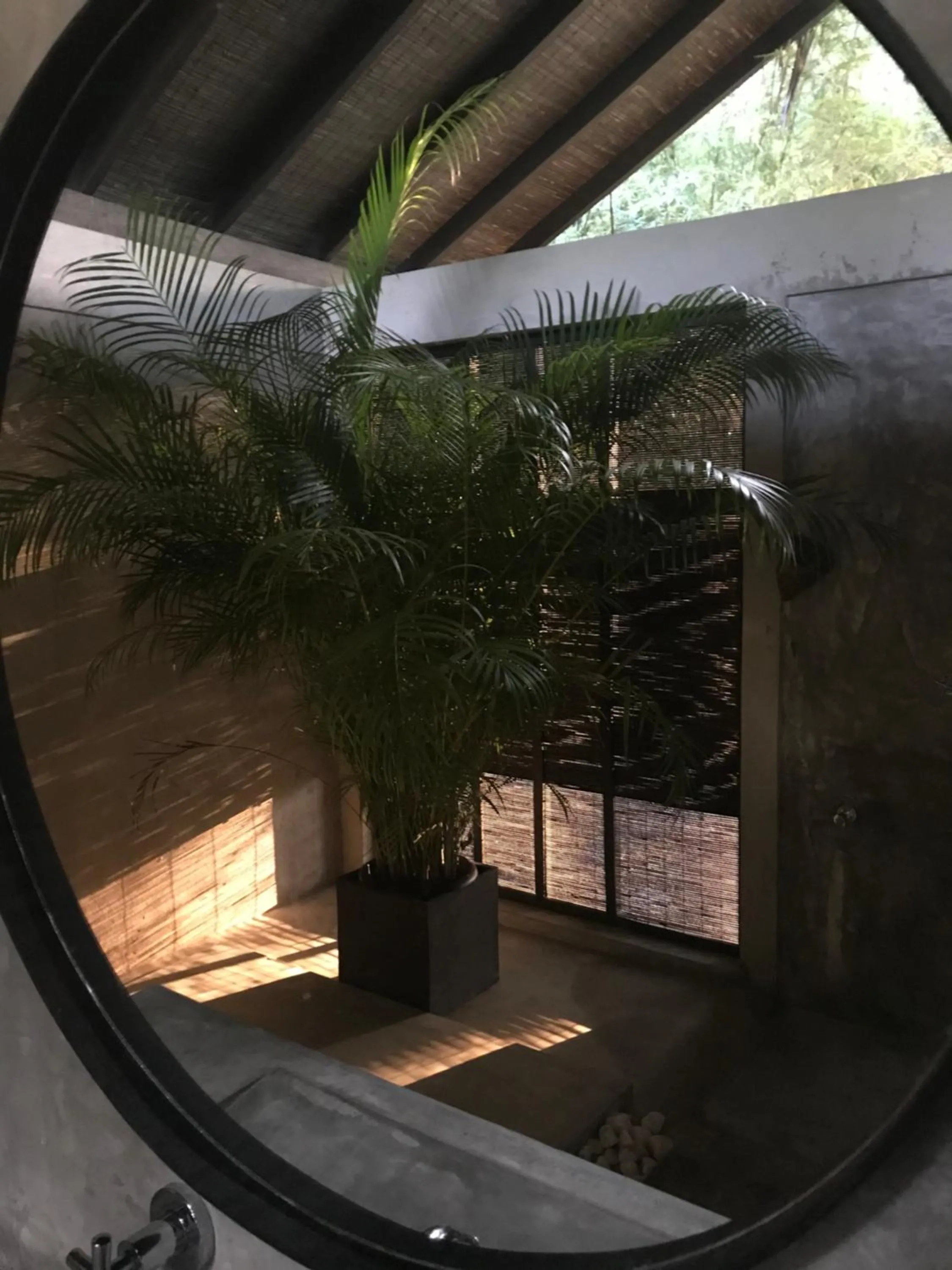 Bathroom in KAJU GREEN eco lodges