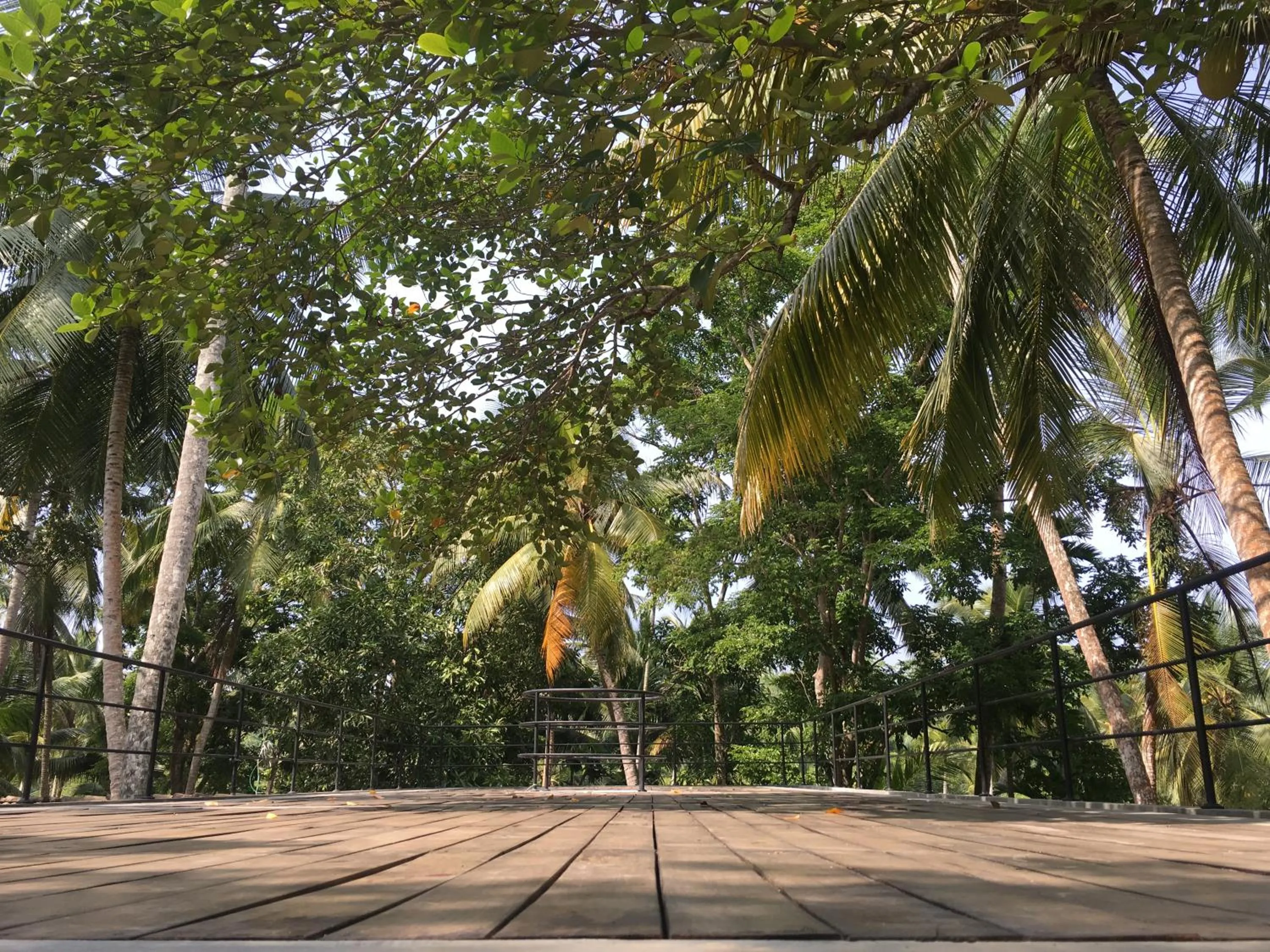 Balcony/Terrace in KAJU GREEN eco lodges