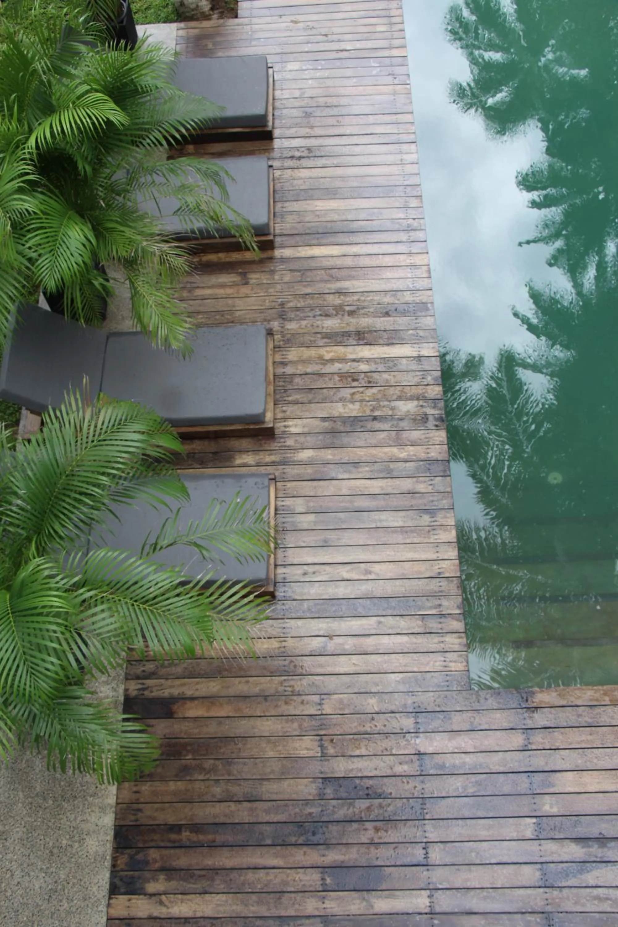 Swimming pool in KAJU GREEN eco lodges