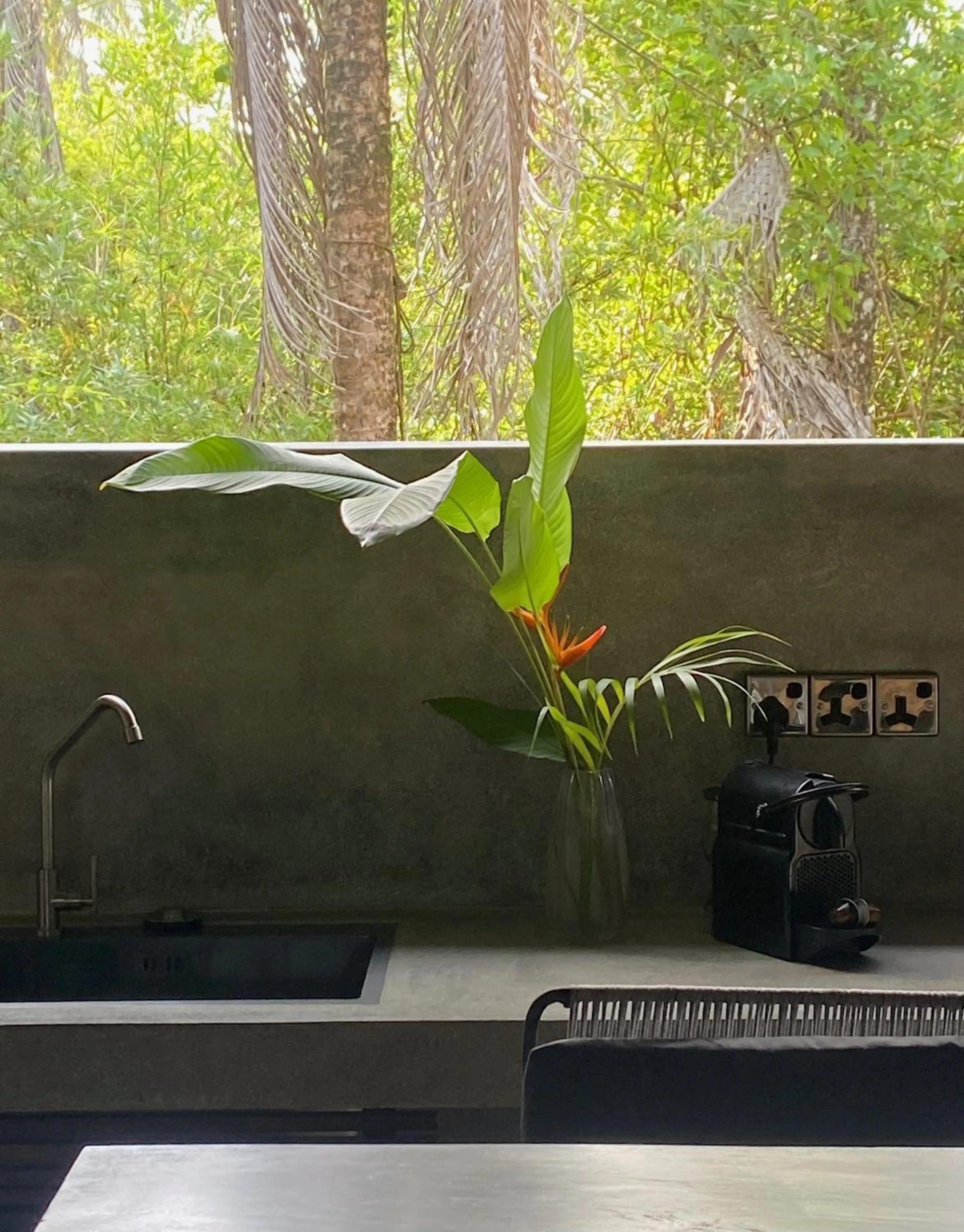 KAJU GREEN eco lodges