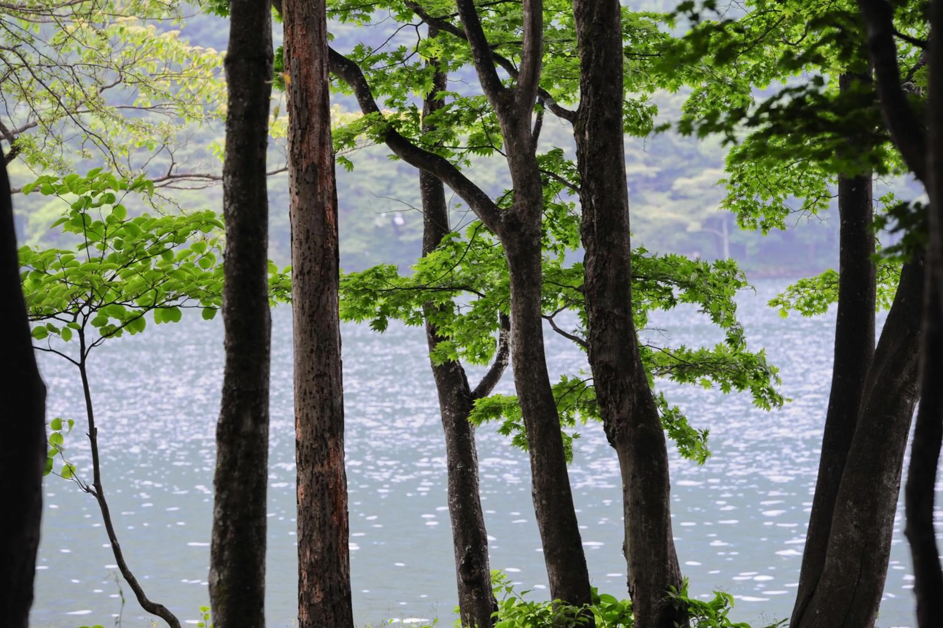 Harunako Onsen Yusuge