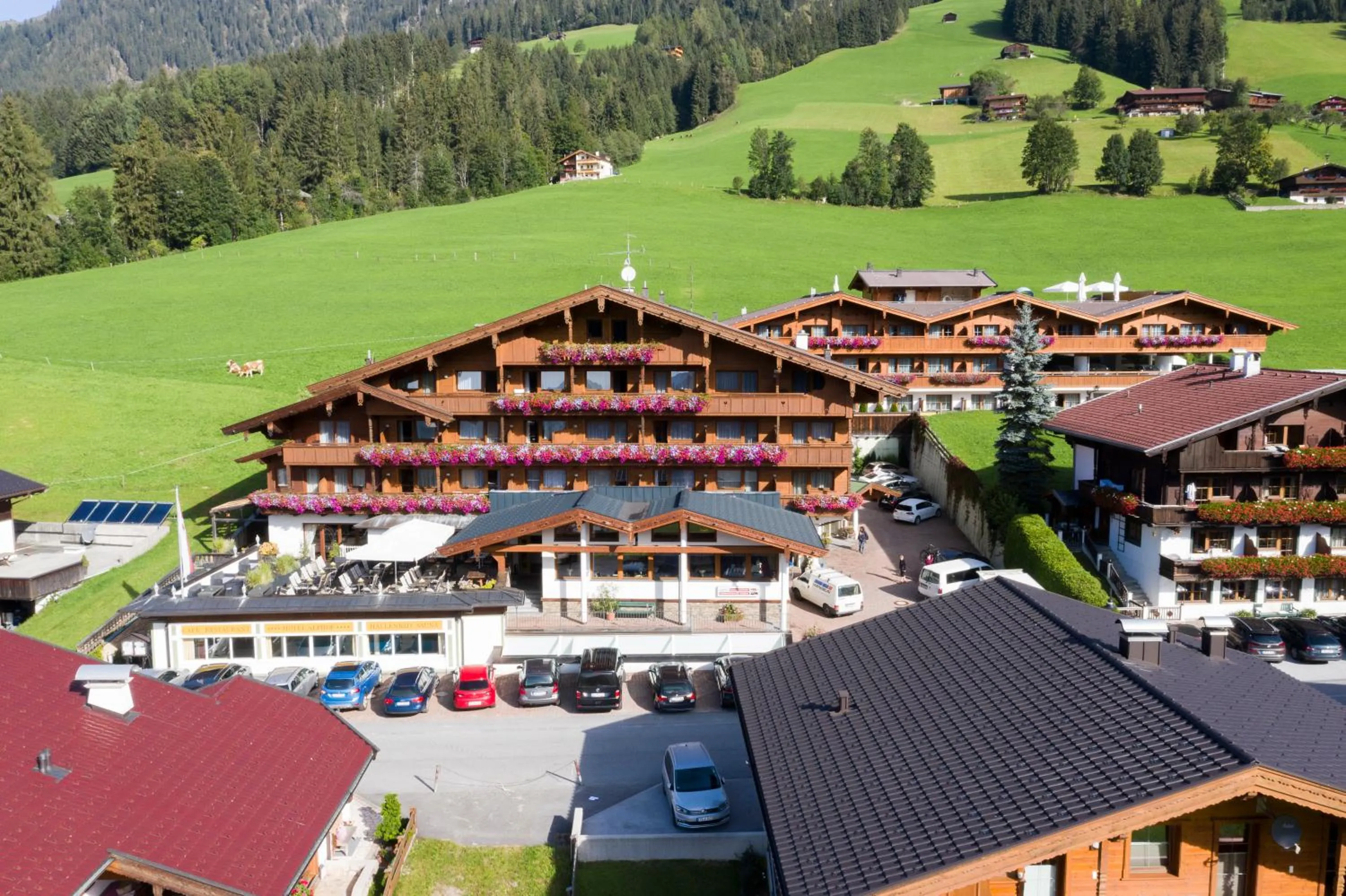 Bird's eye view in Hotel Alphof Alpbach