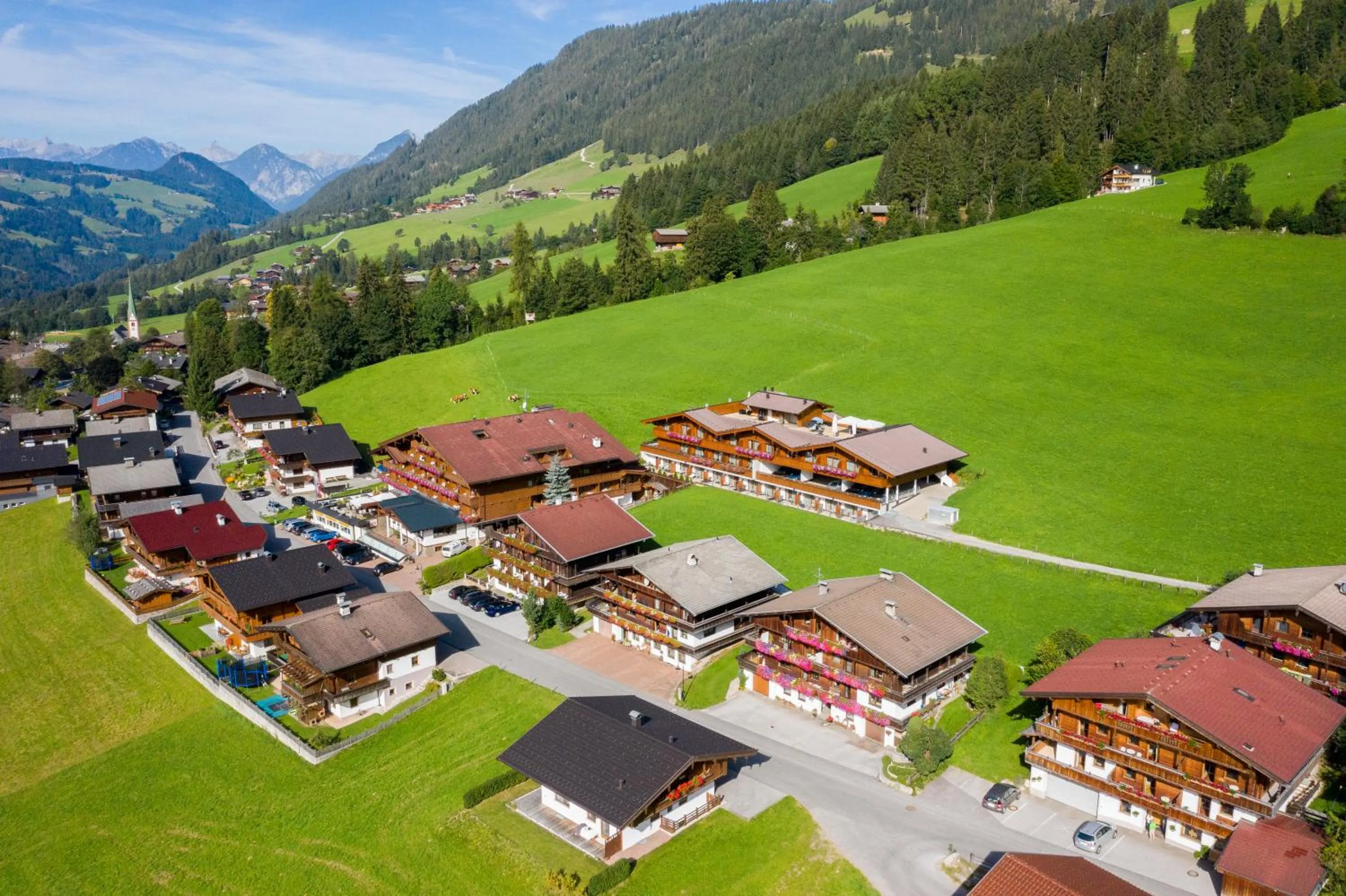 Bird's eye view in Hotel Alphof Alpbach