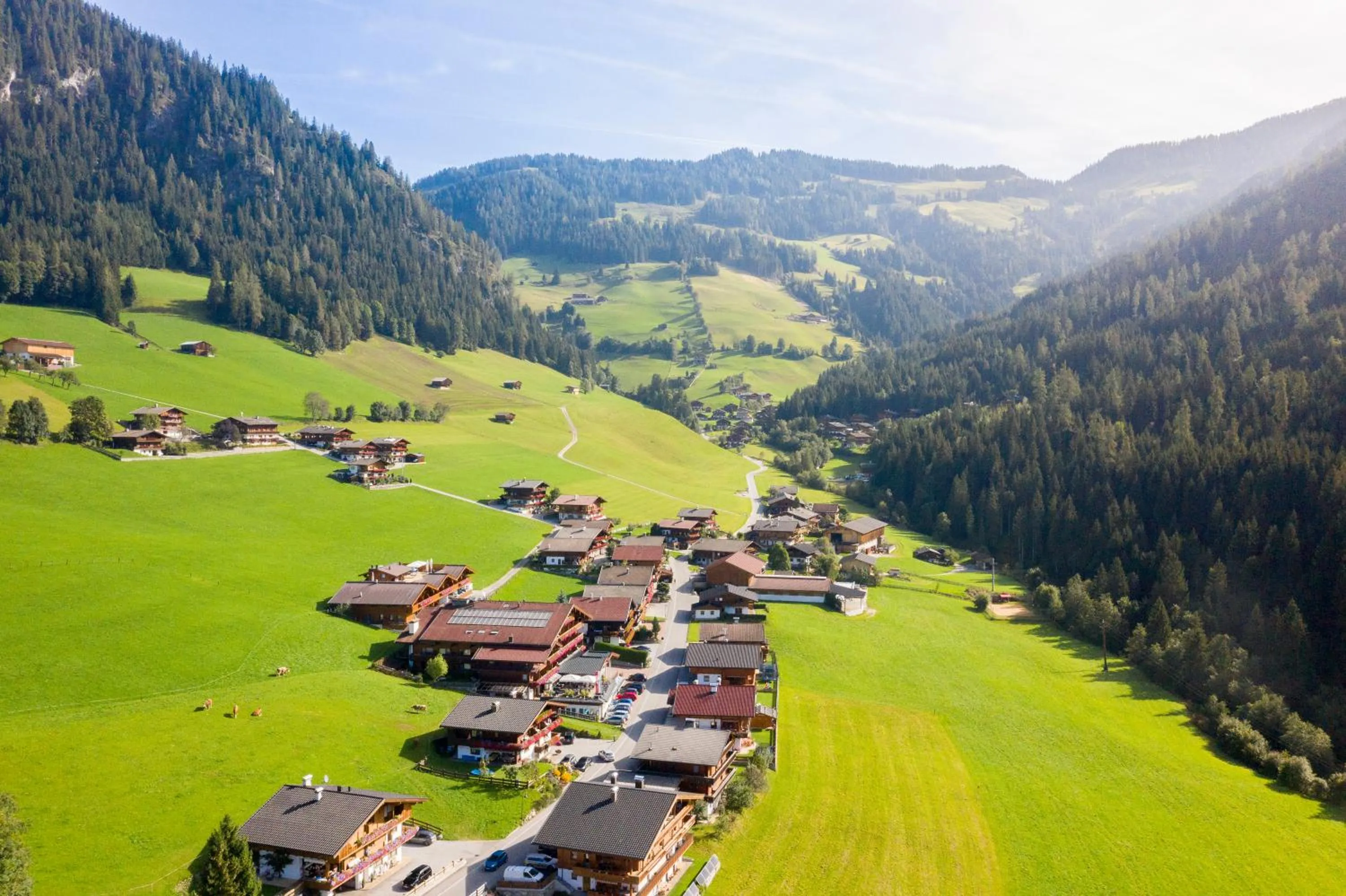 Bird's eye view in Hotel Alphof Alpbach