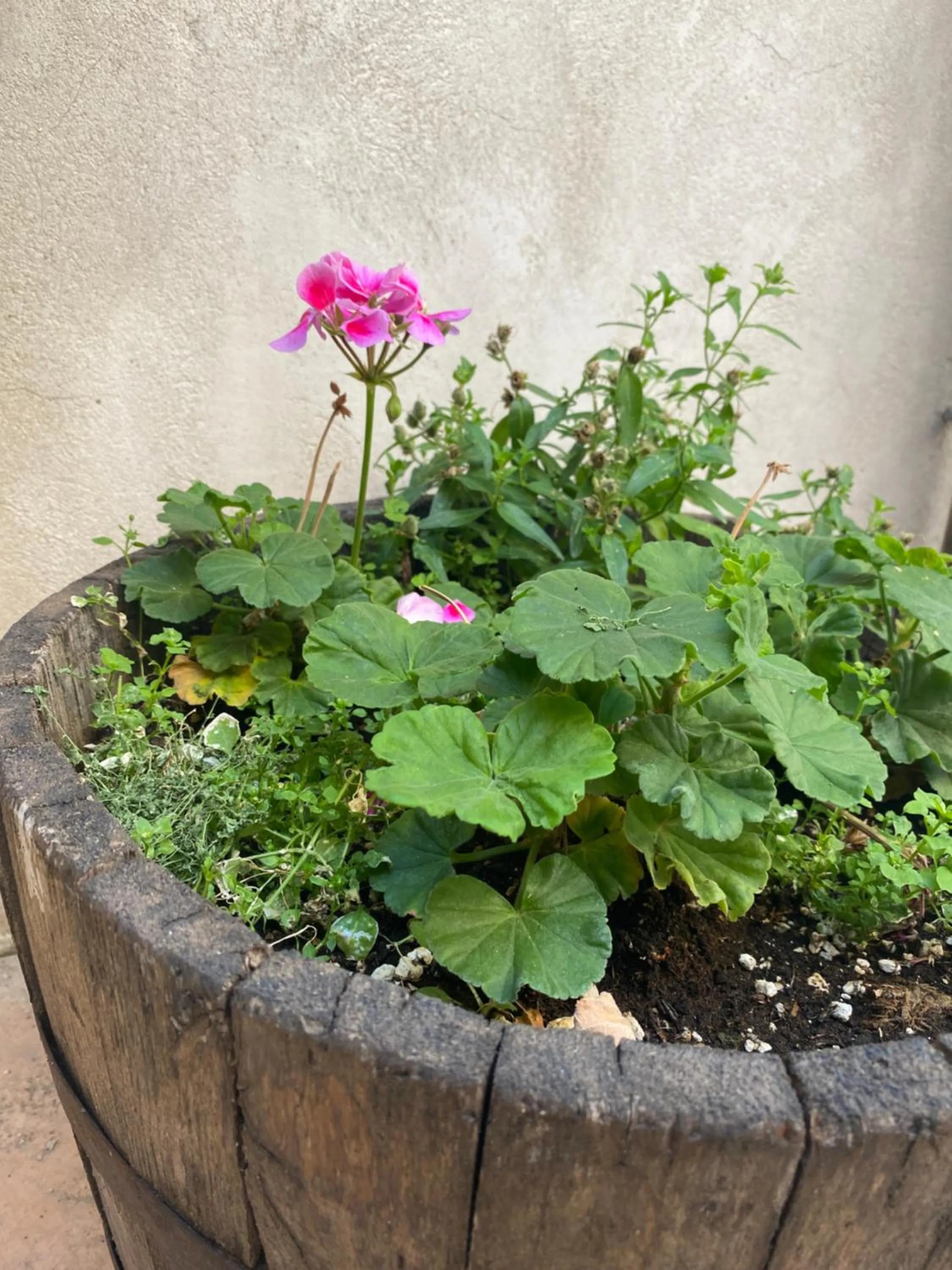 Property building in L'atelier B&B