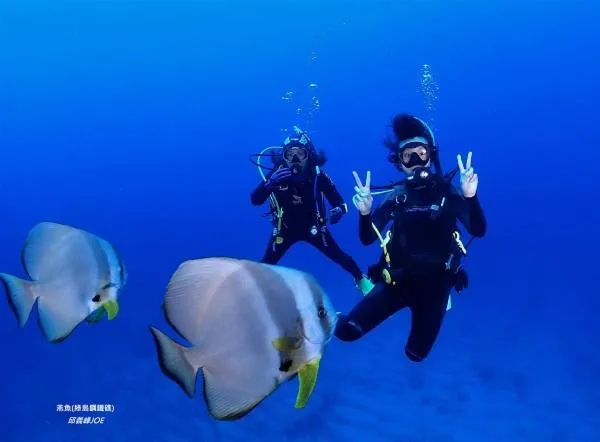 Fire Island Guest House